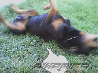 Photo 2321232
