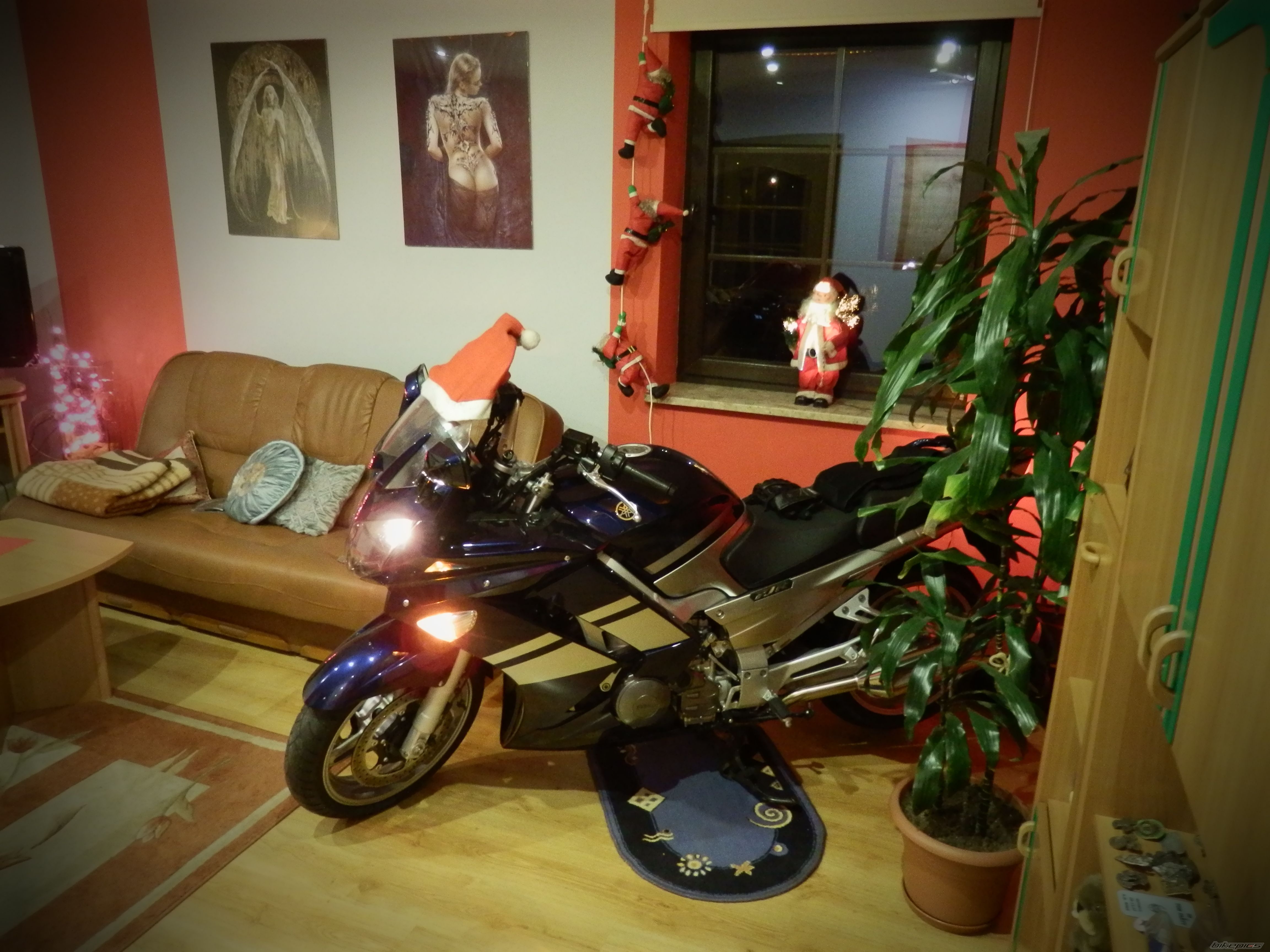 Photo 2321241