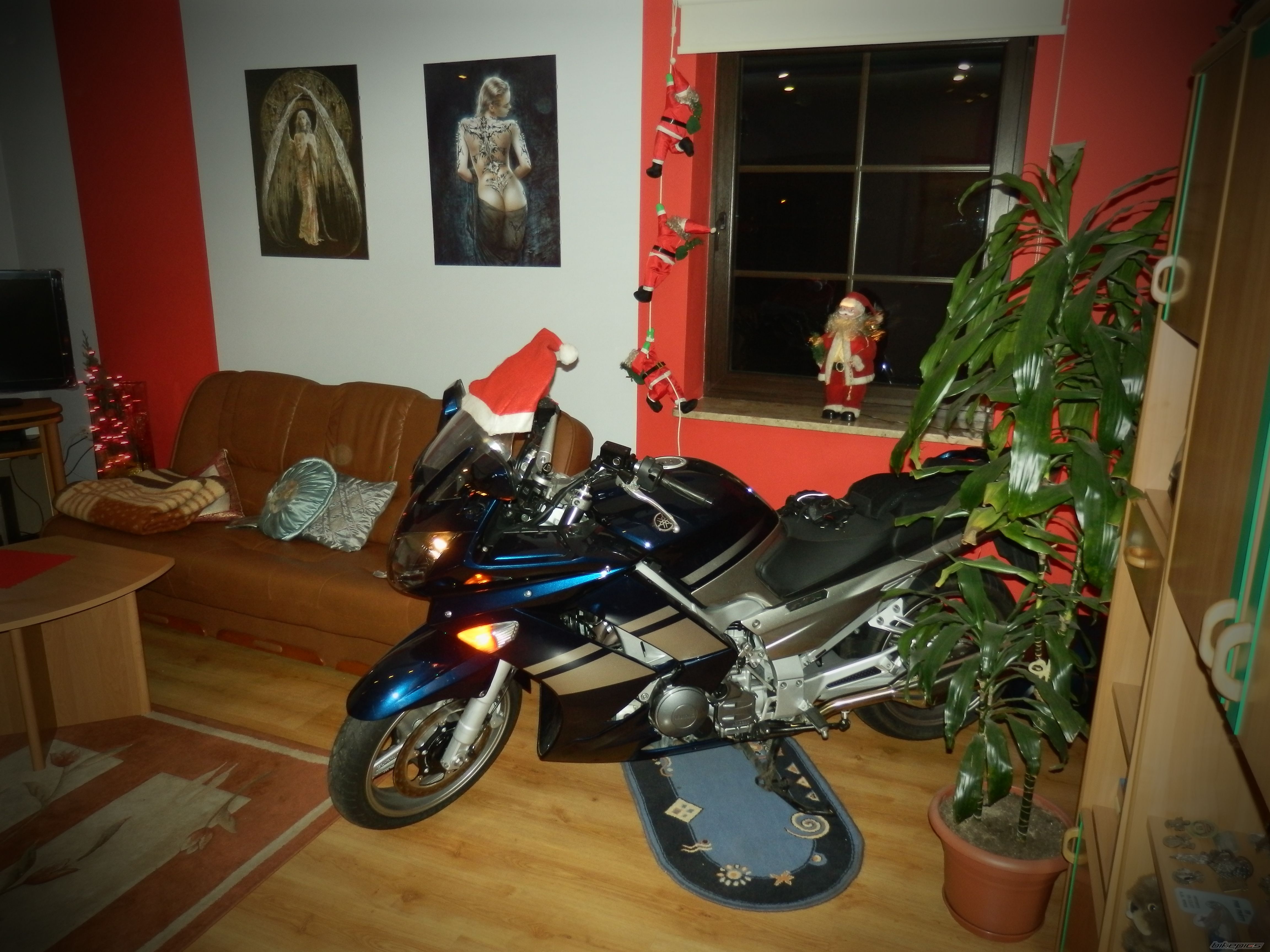 Photo 2321242