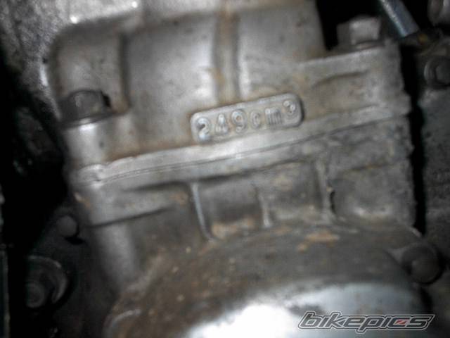 Photo 232129