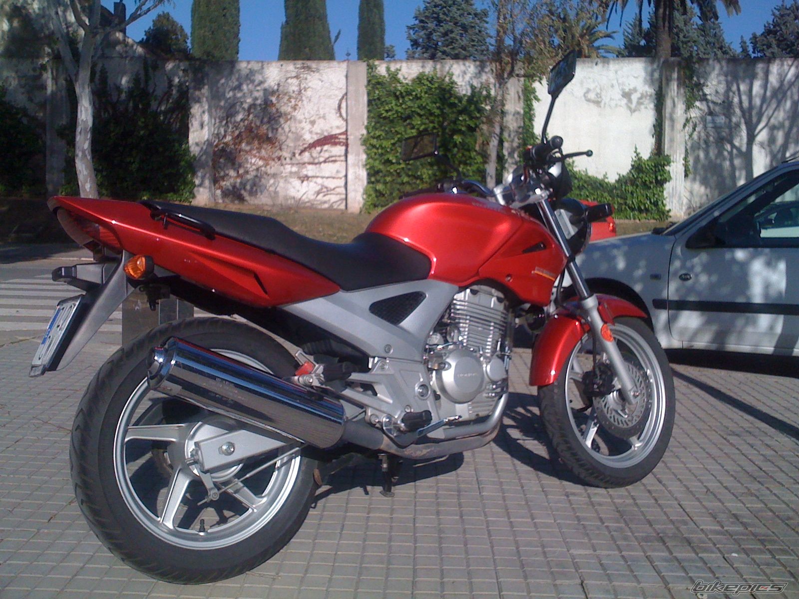 Bike Photo 2321297