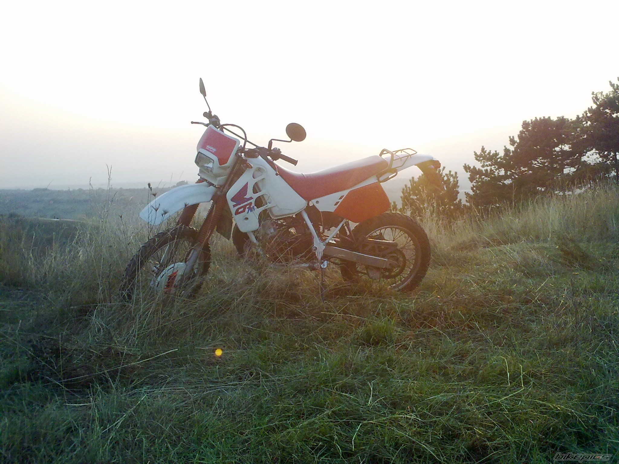 Photo 2321306