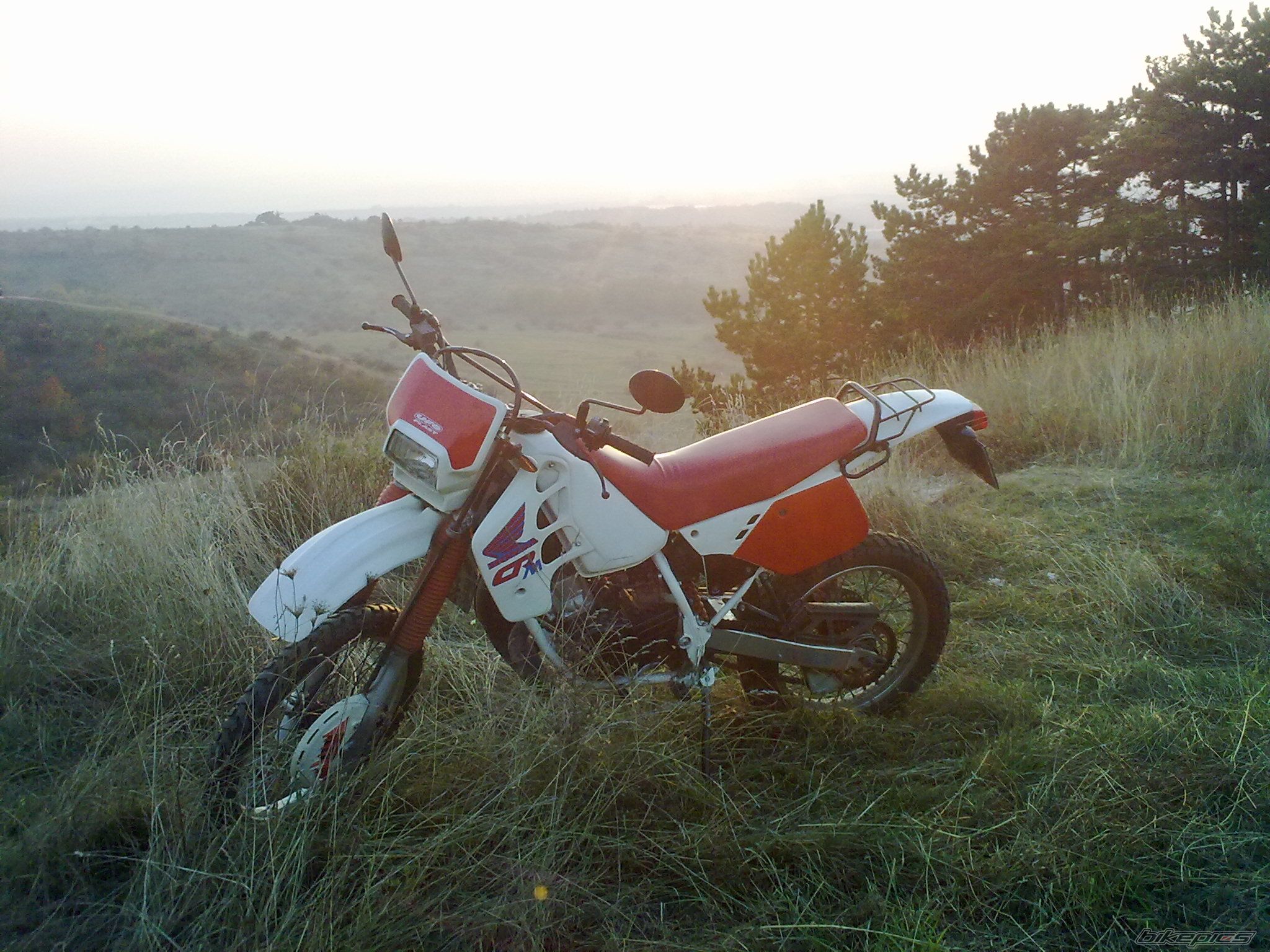 Photo 2321307