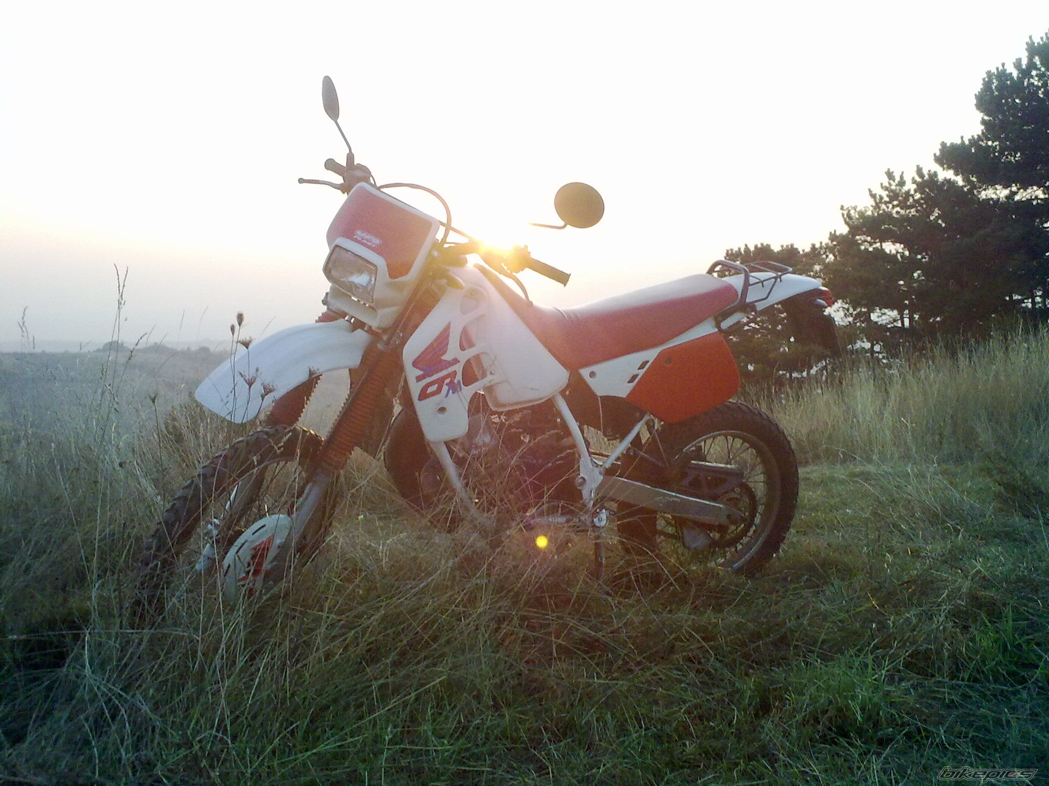 Photo 2321309