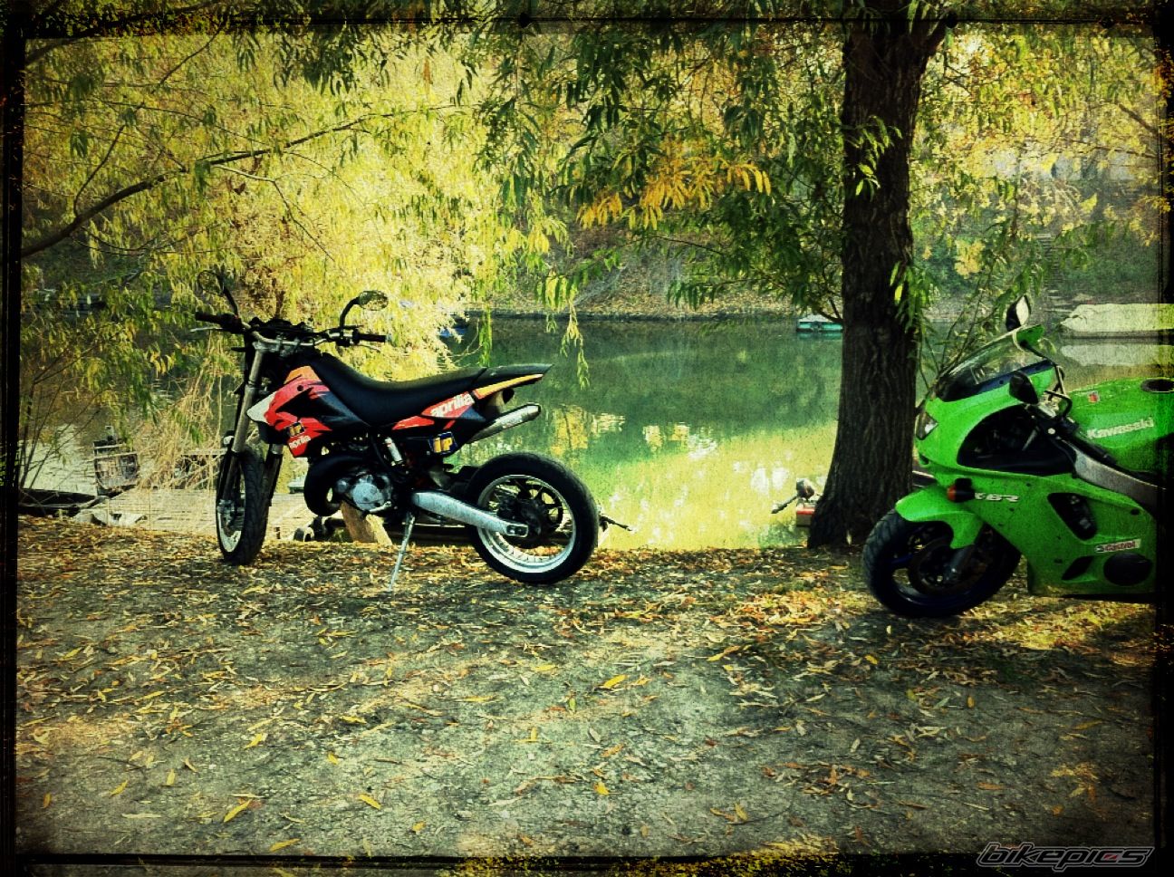 Photo 2321429