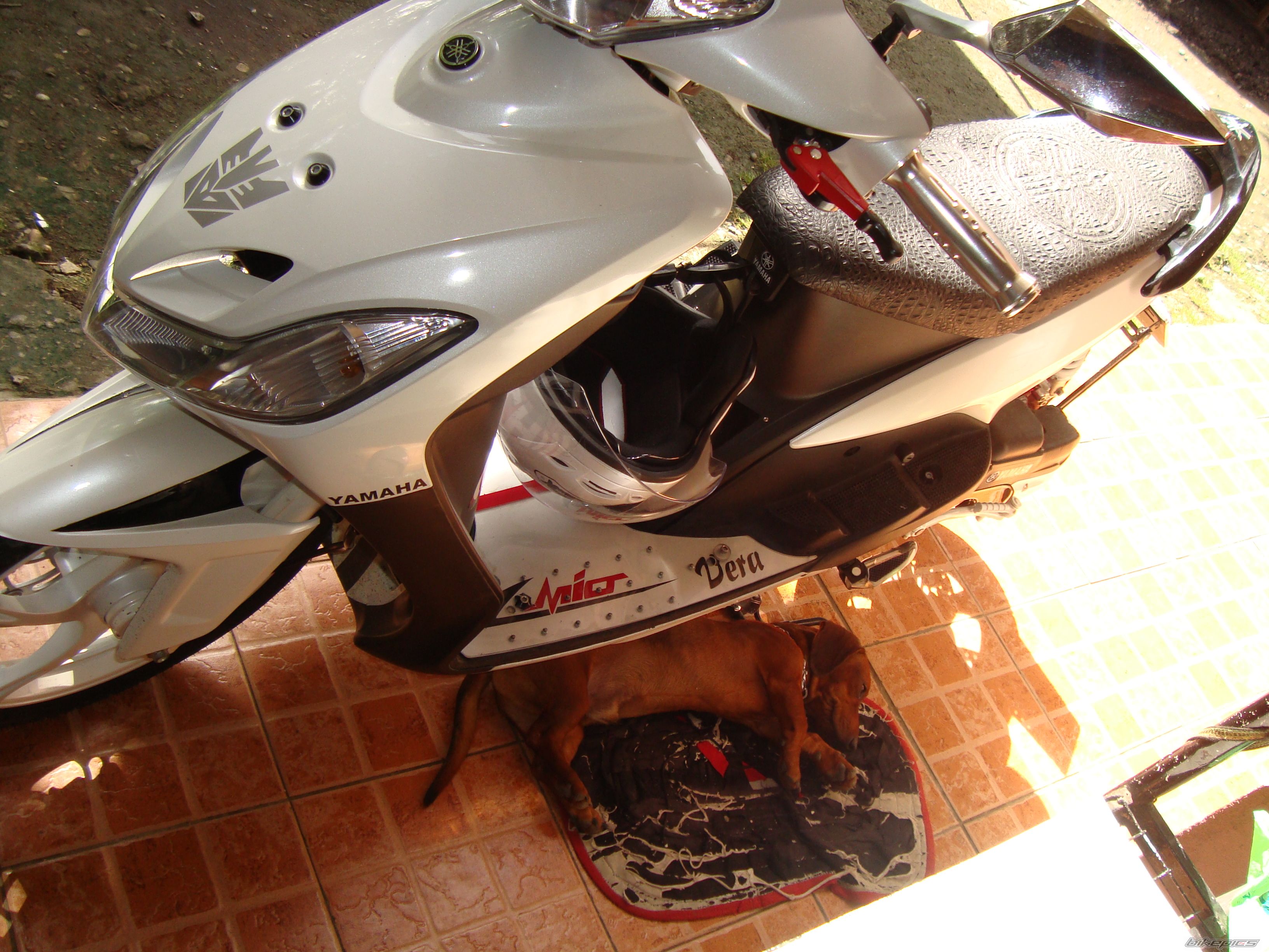 Photo 2321449