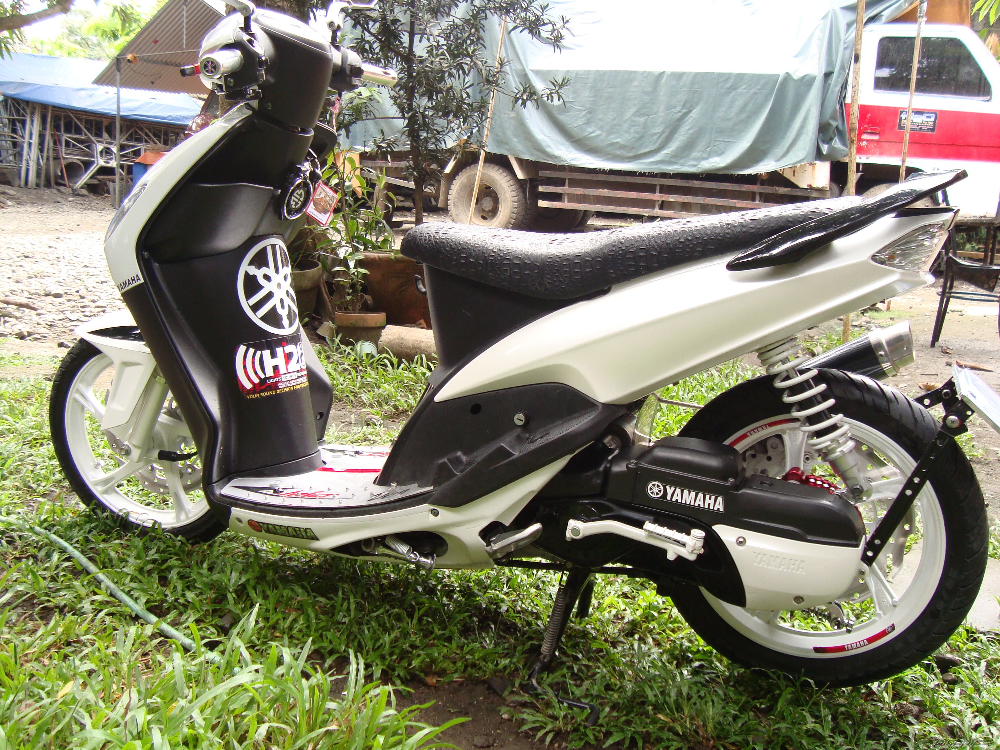 Photo 2321452