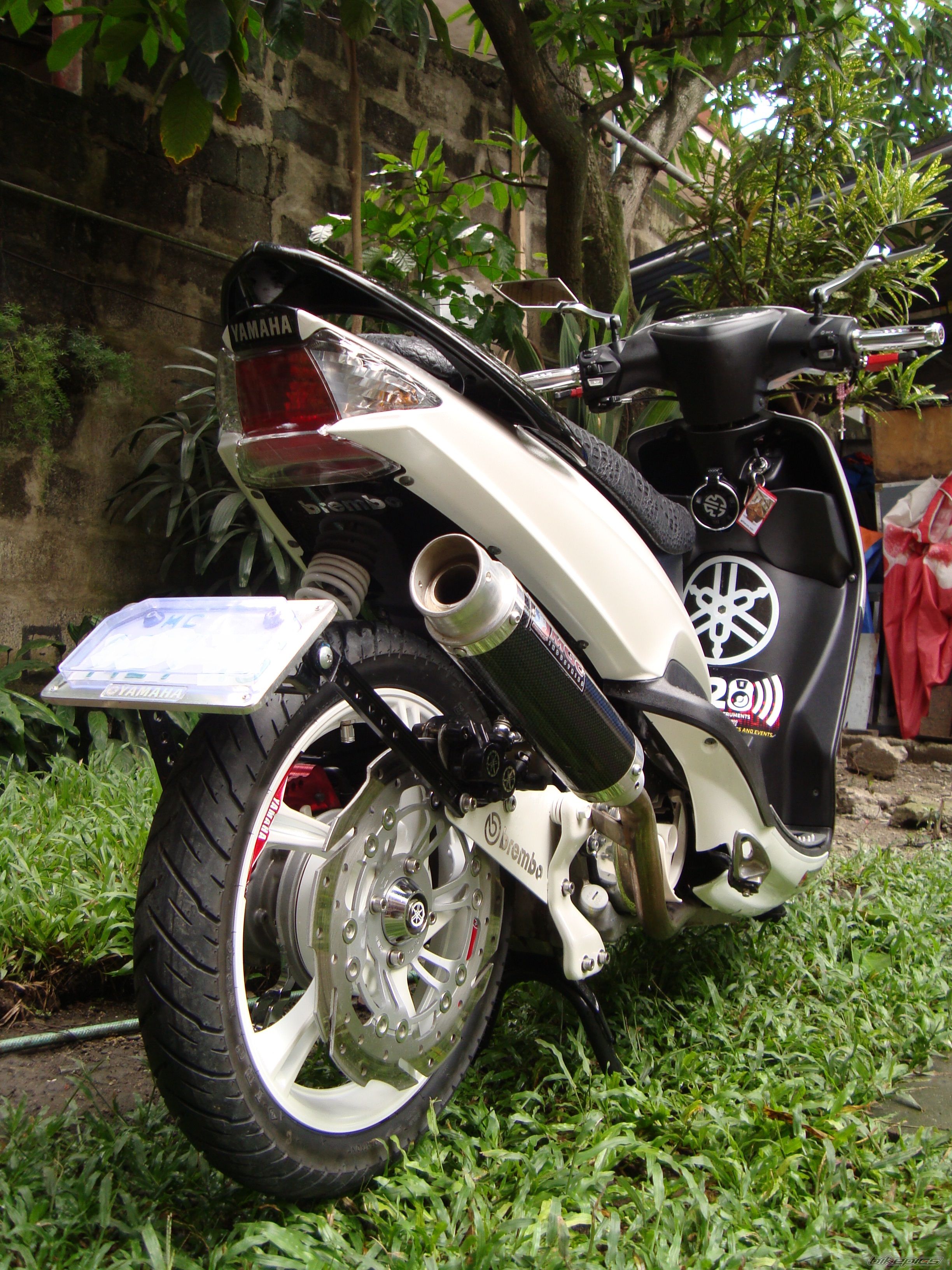 Photo 2321453
