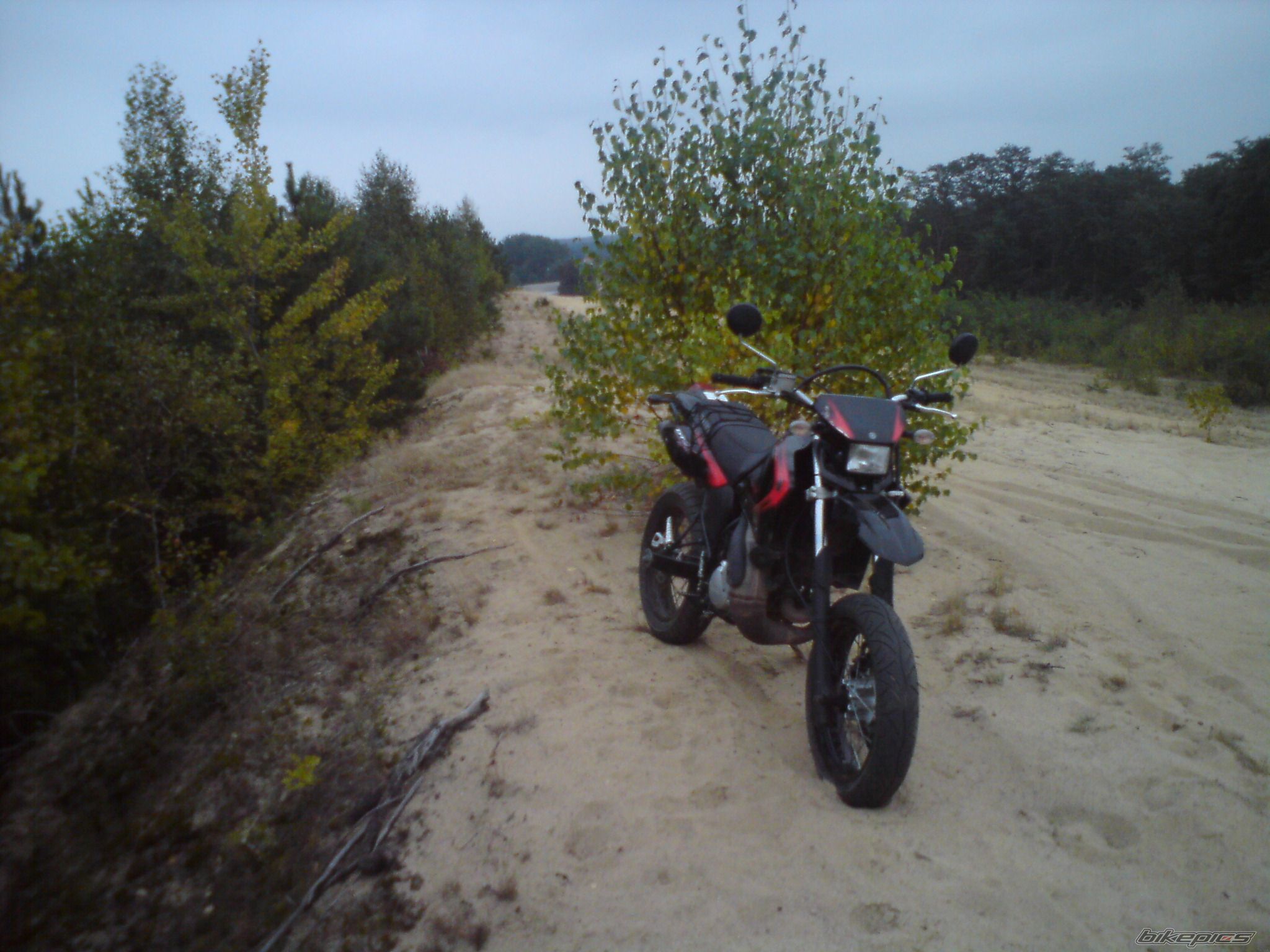 Photo 2321461