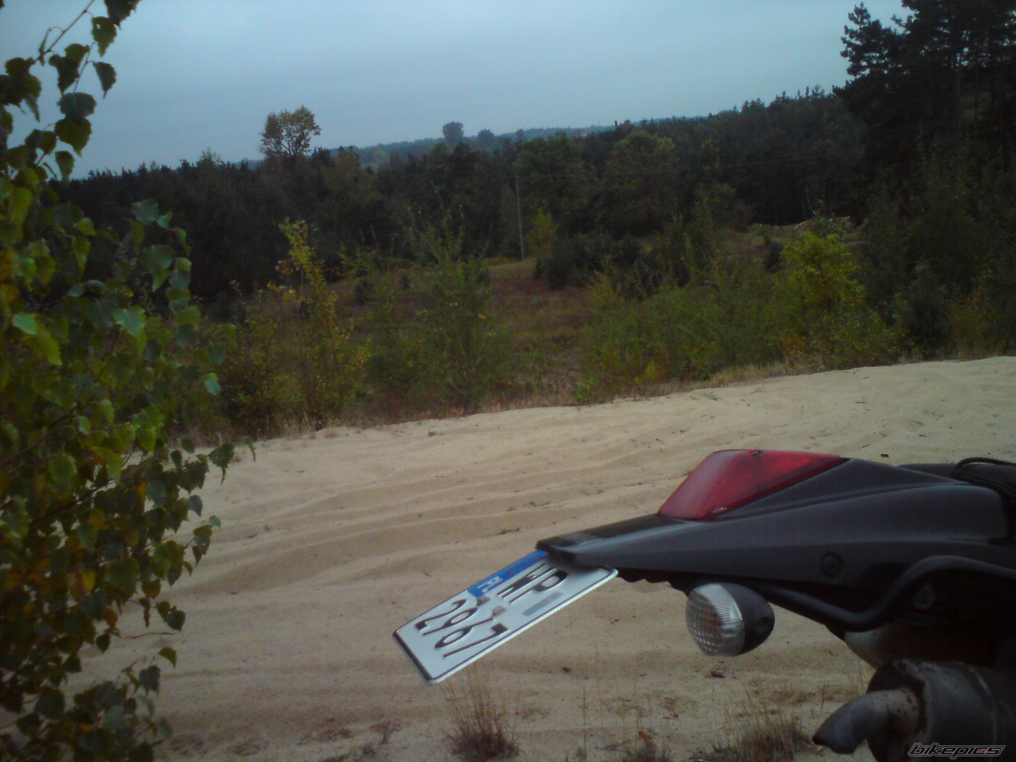 Photo 2321462