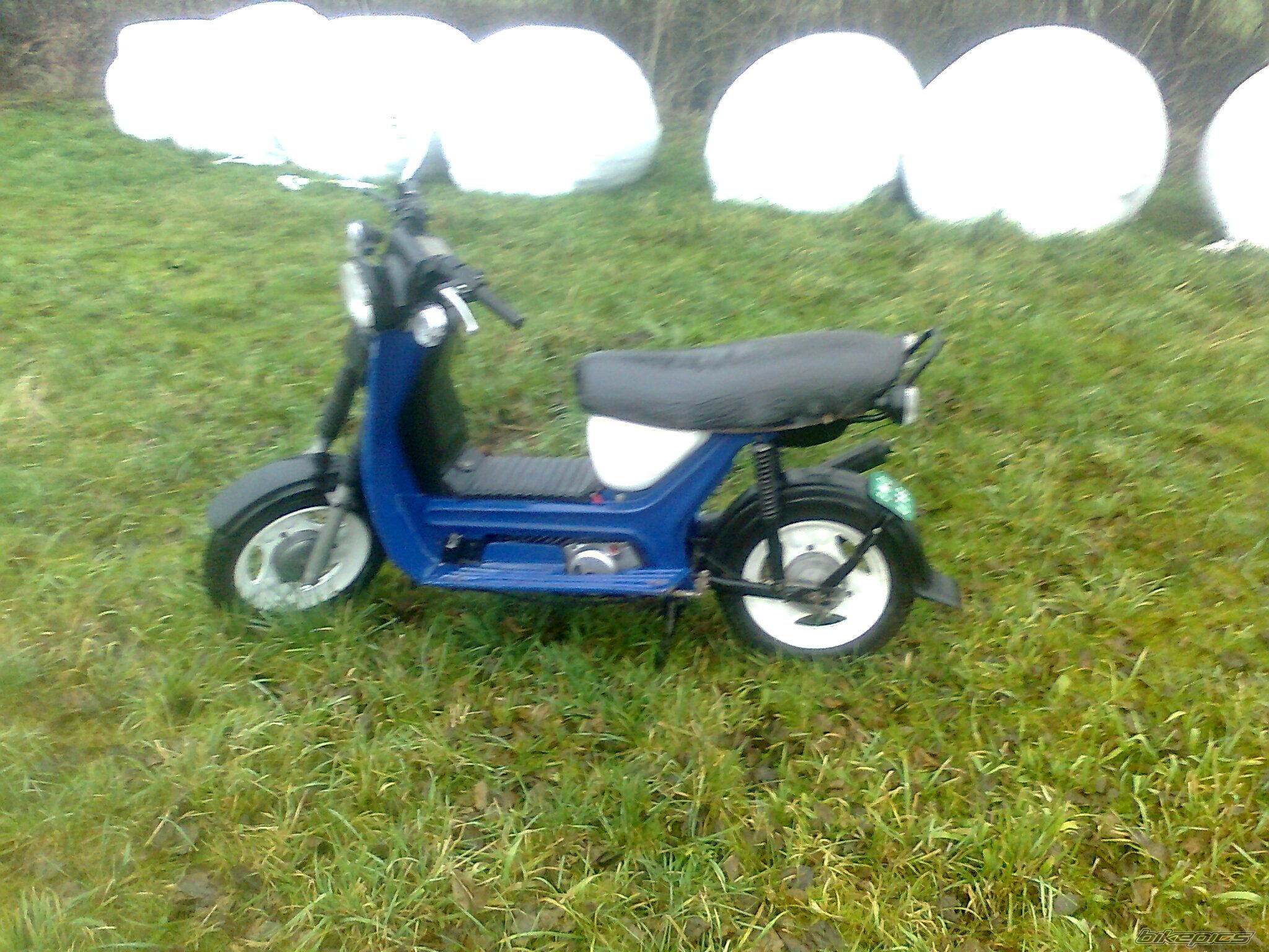 Photo 2321478