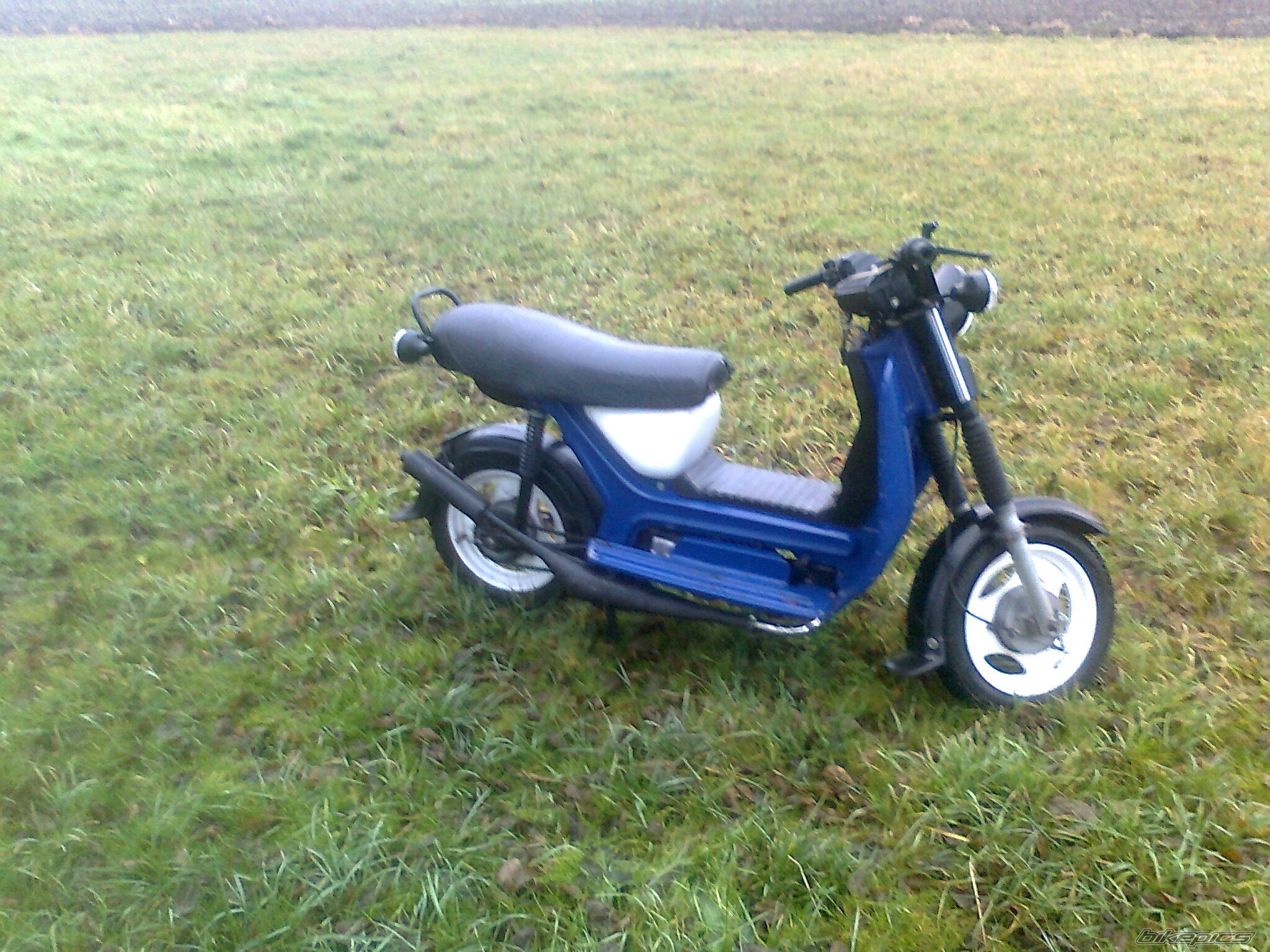 Photo 2321482