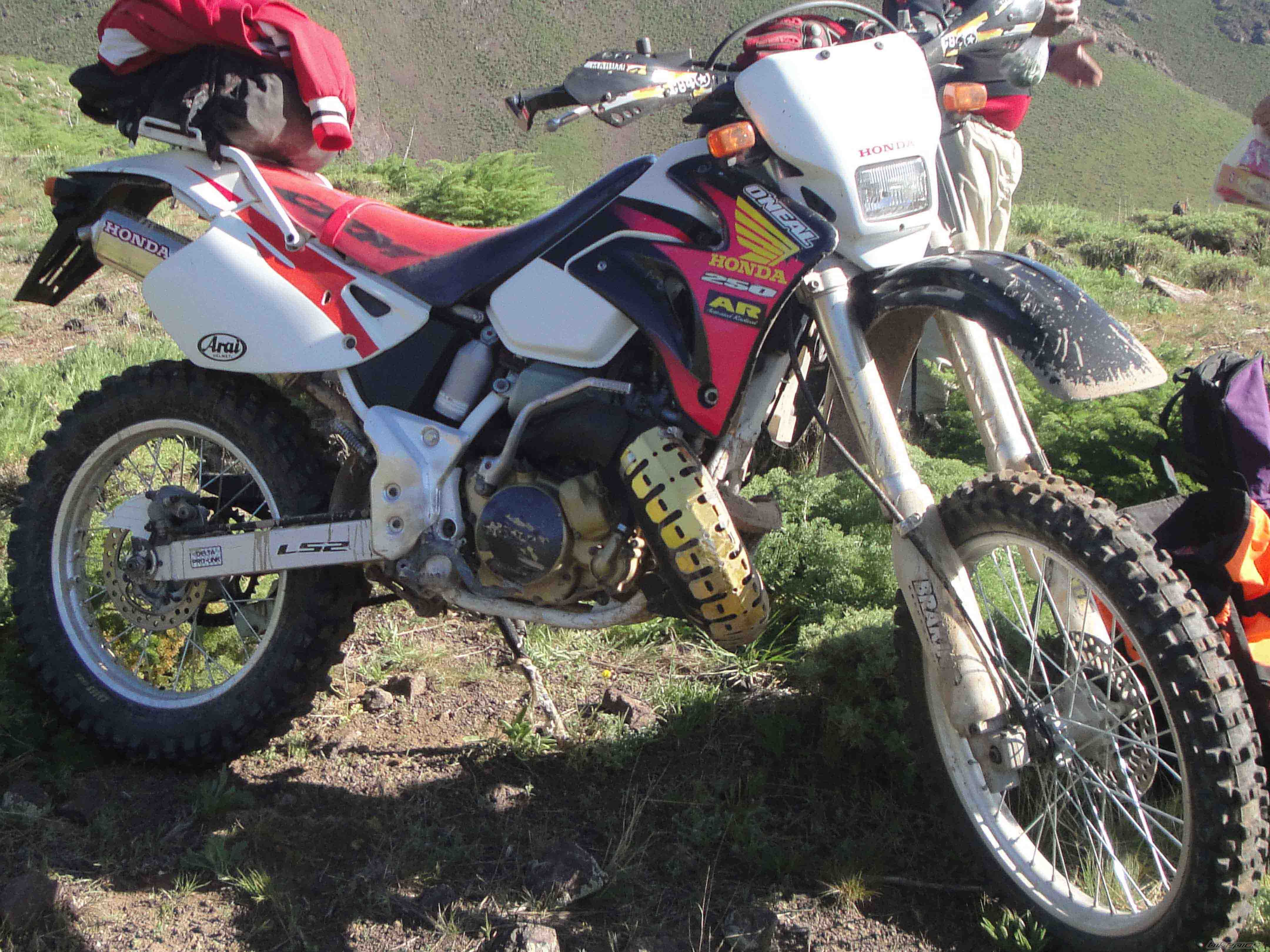 Bike Photo 2321501