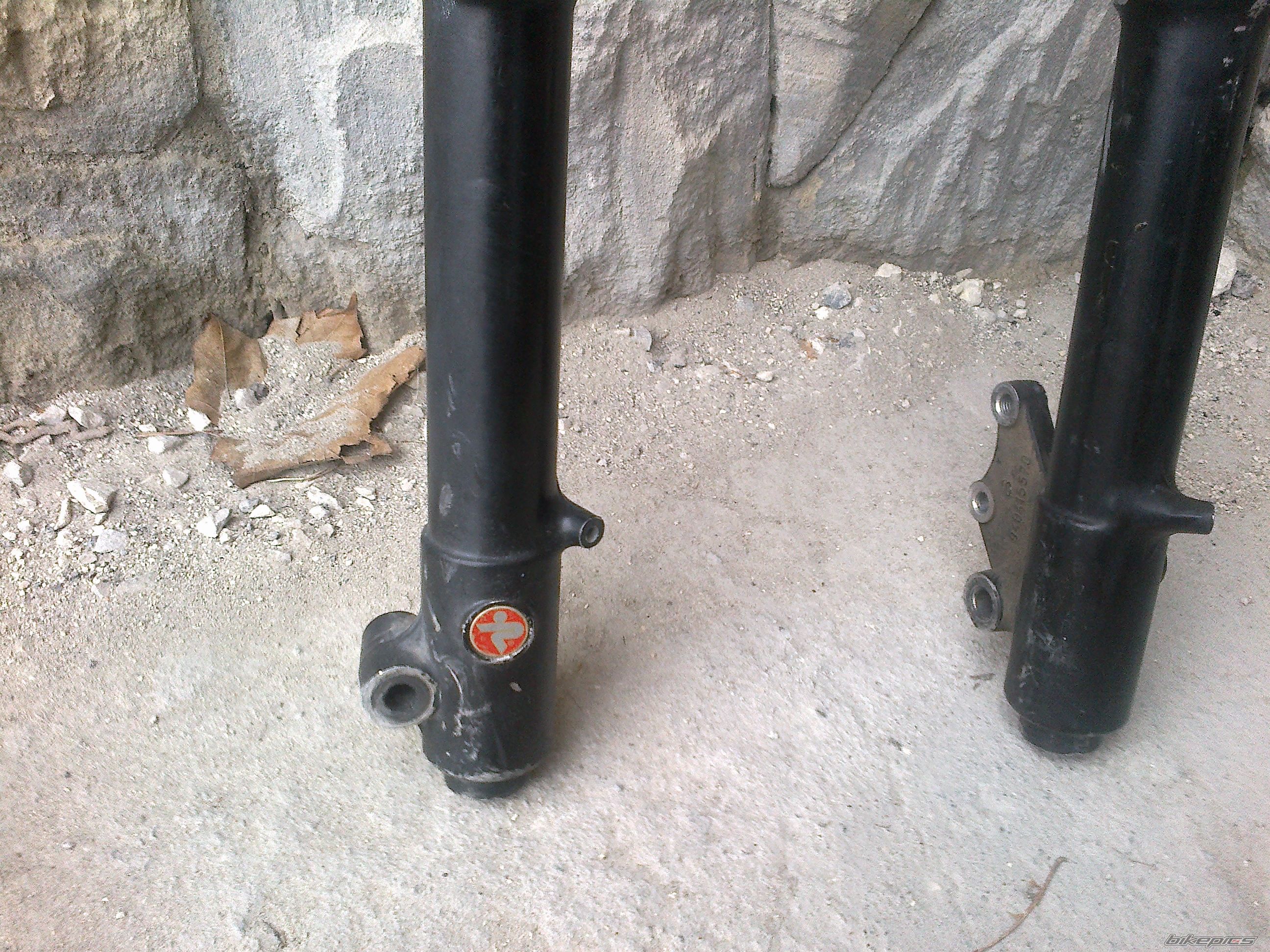 Photo 2321516