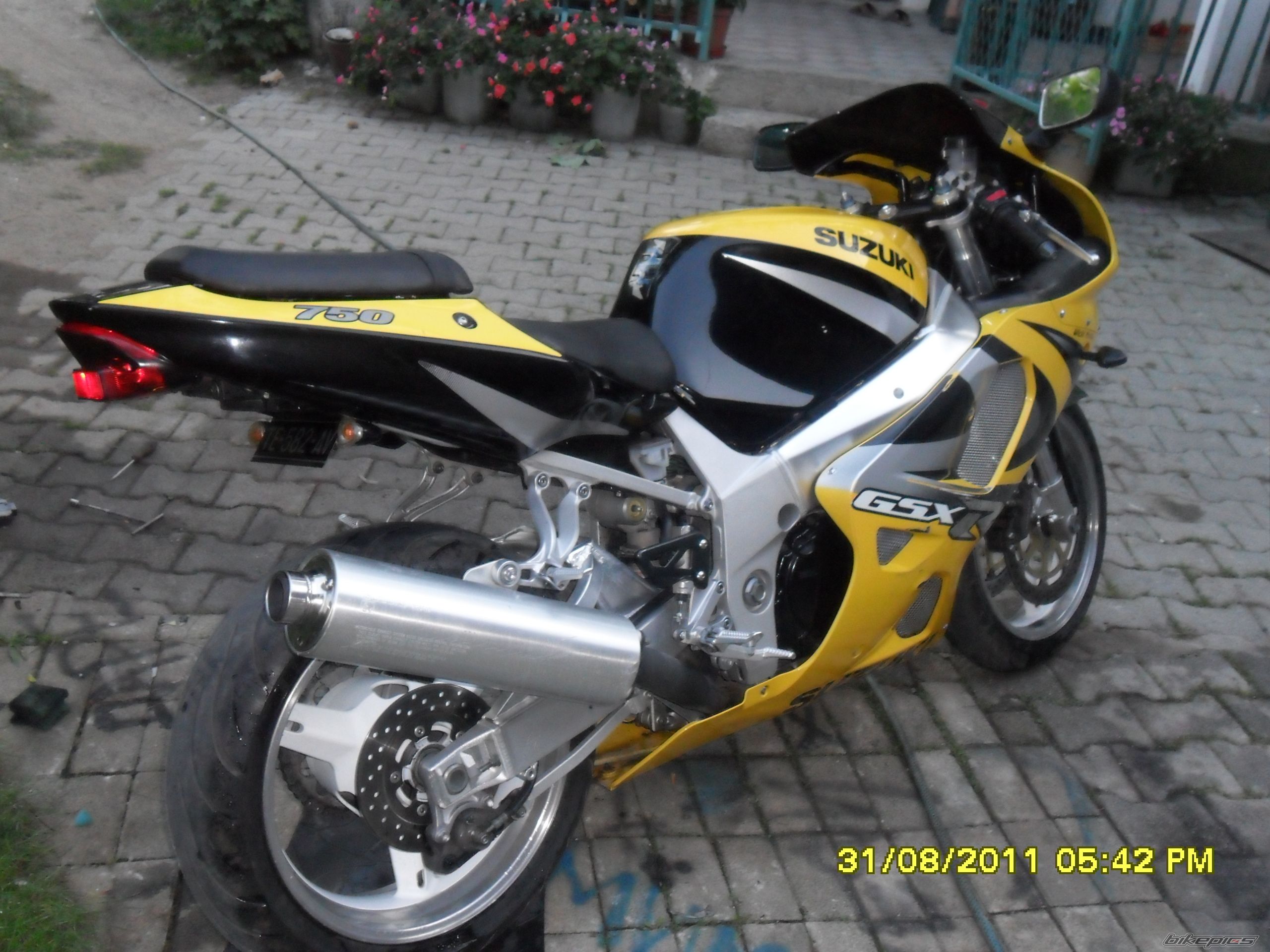 Photo 2321641
