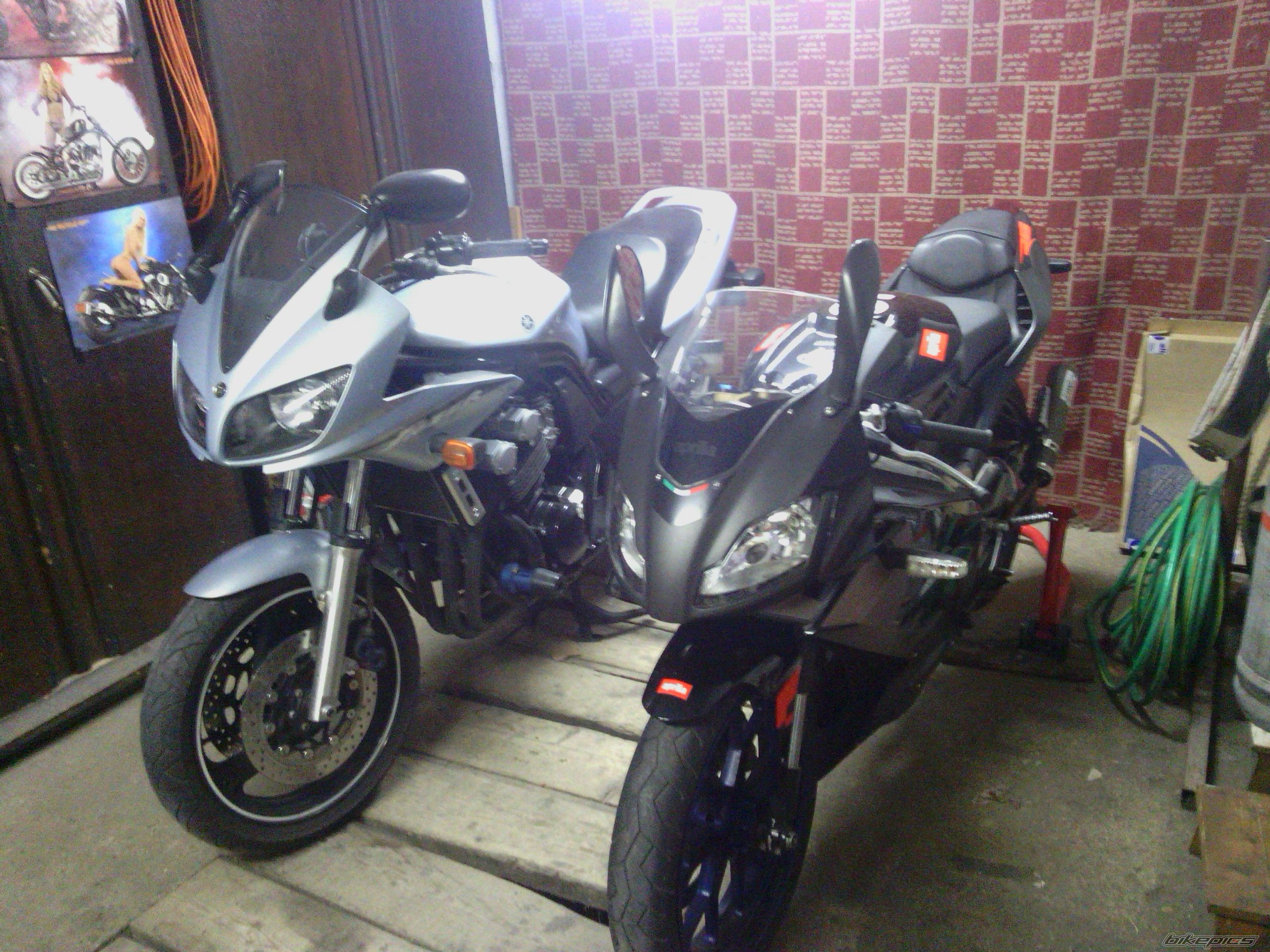 Photo 2321682