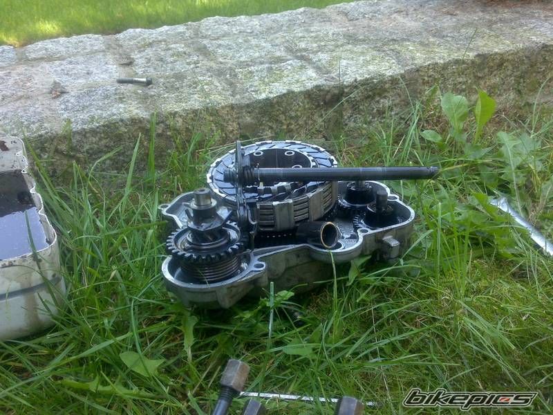 Photo 2321737