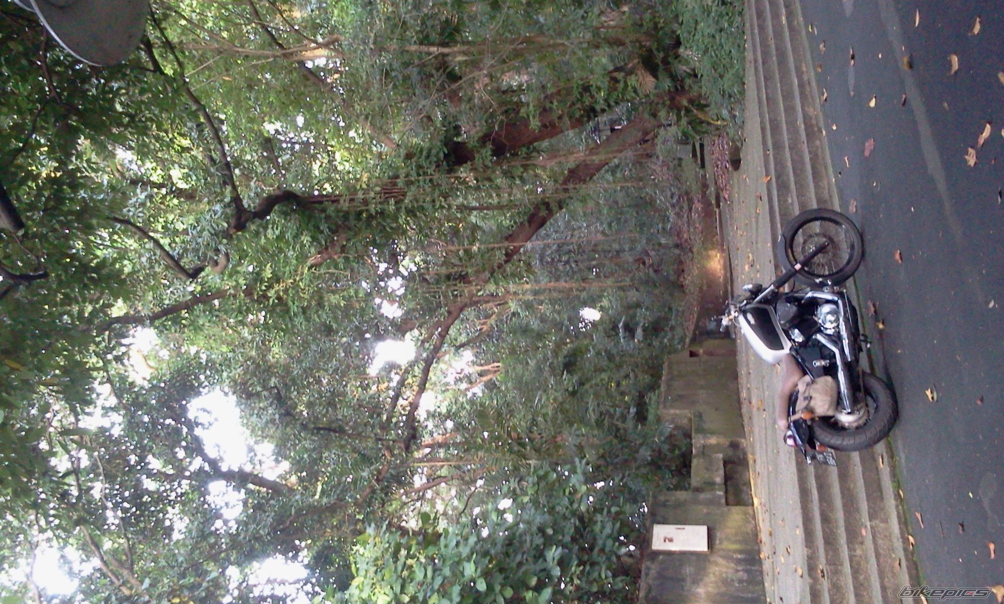 Photo 2321869