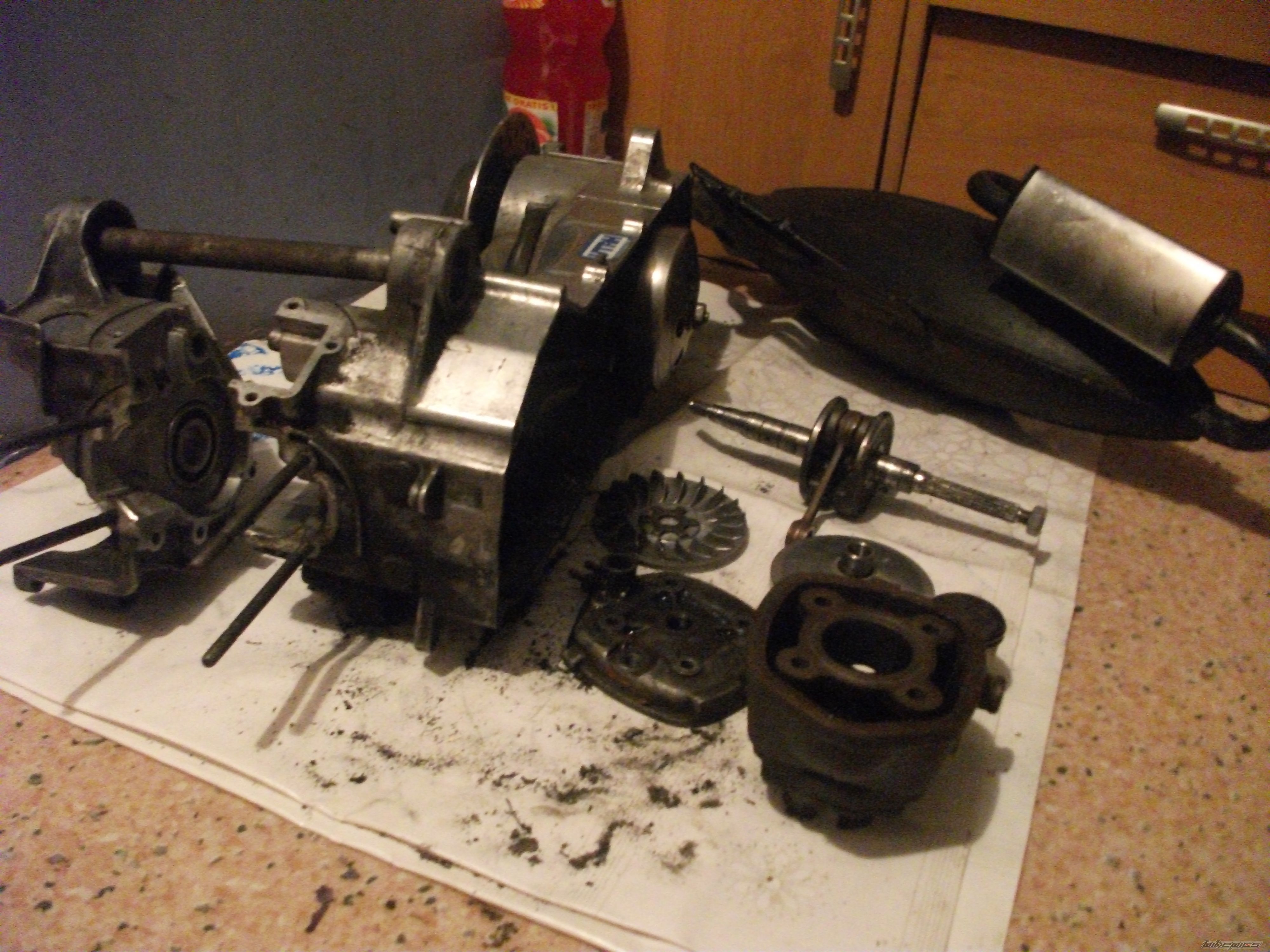 Photo 2321973