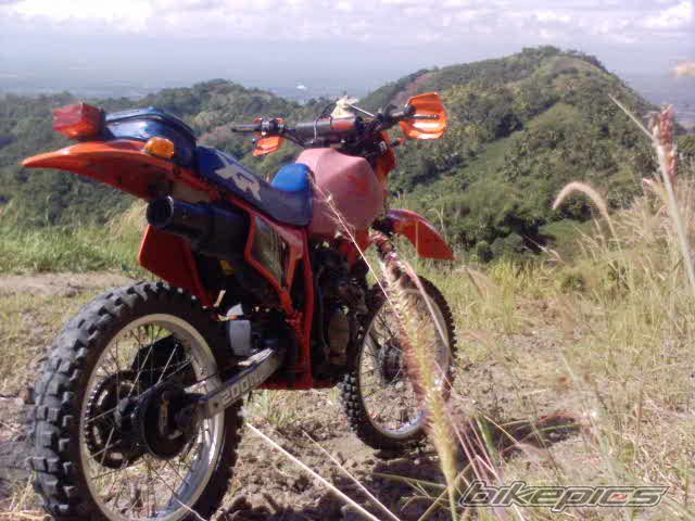 Photo 2321995