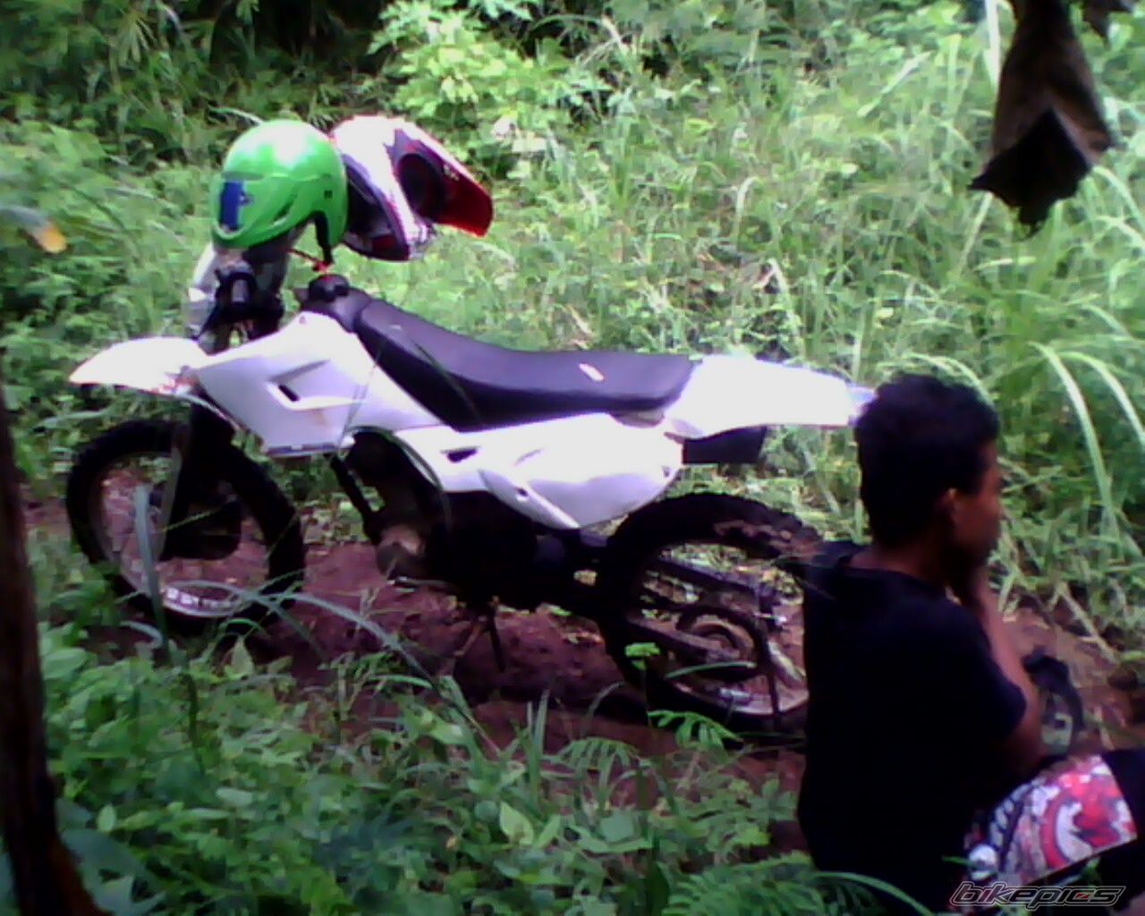 Photo 2322010