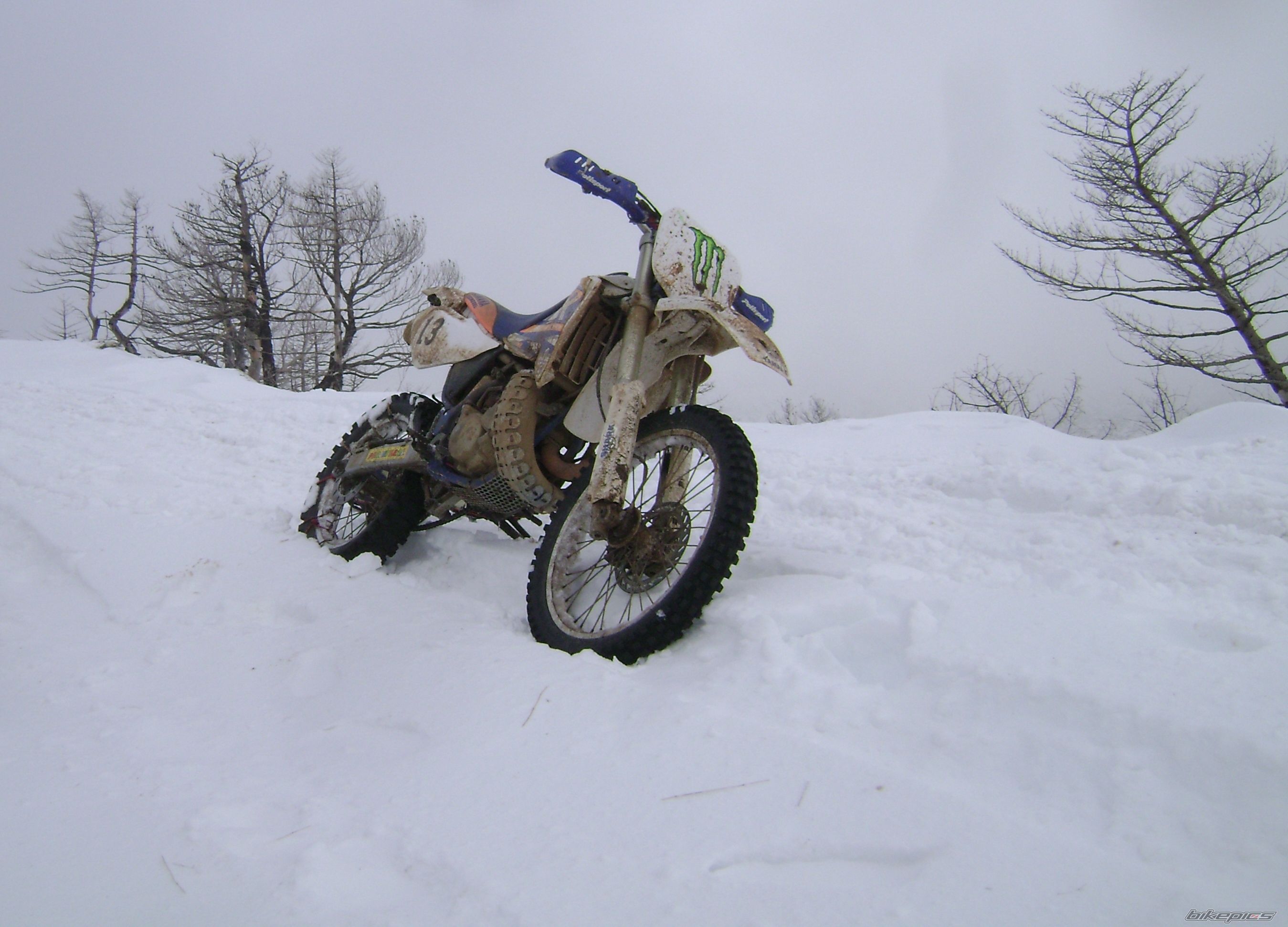 Photo 2322310