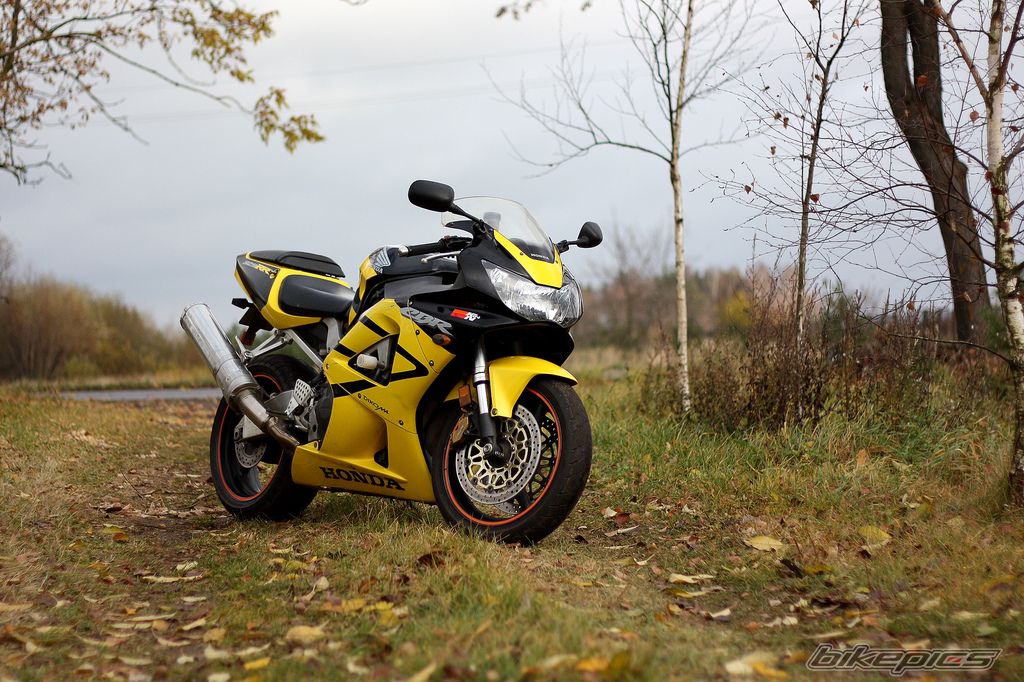Photo 2322427
