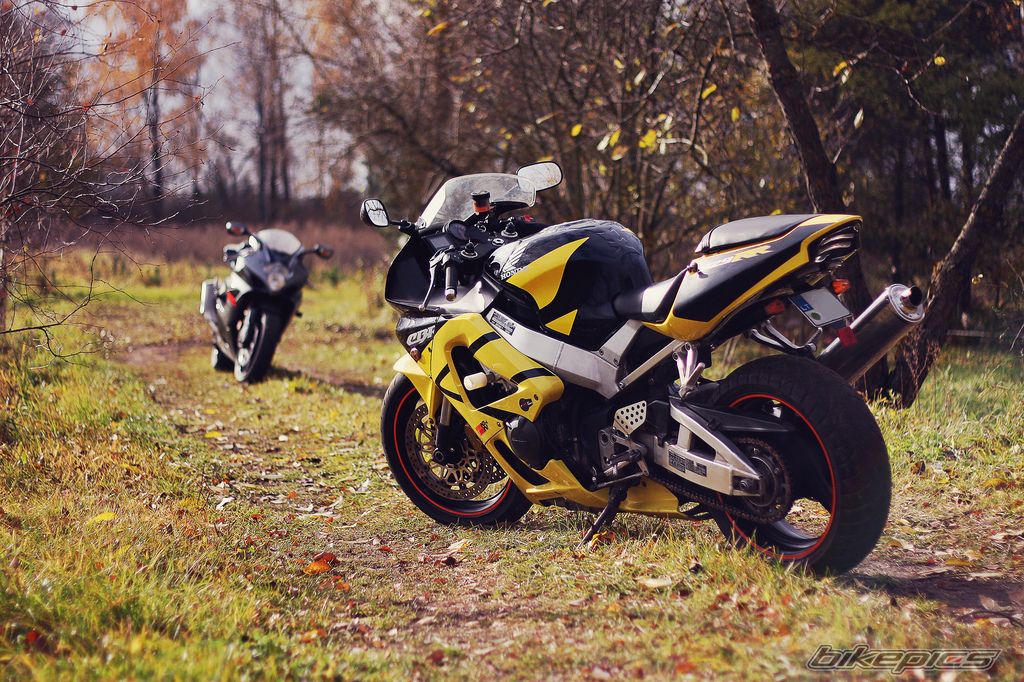 Photo 2322430