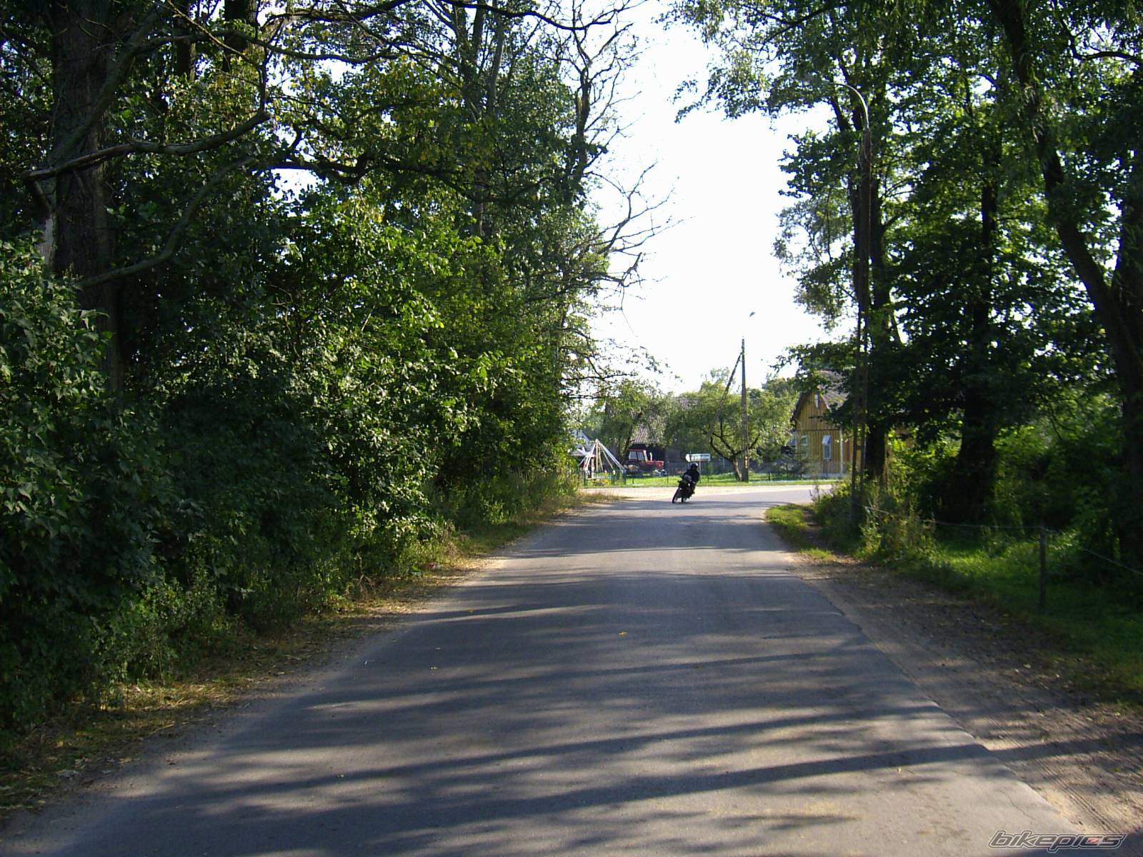 Photo 232246