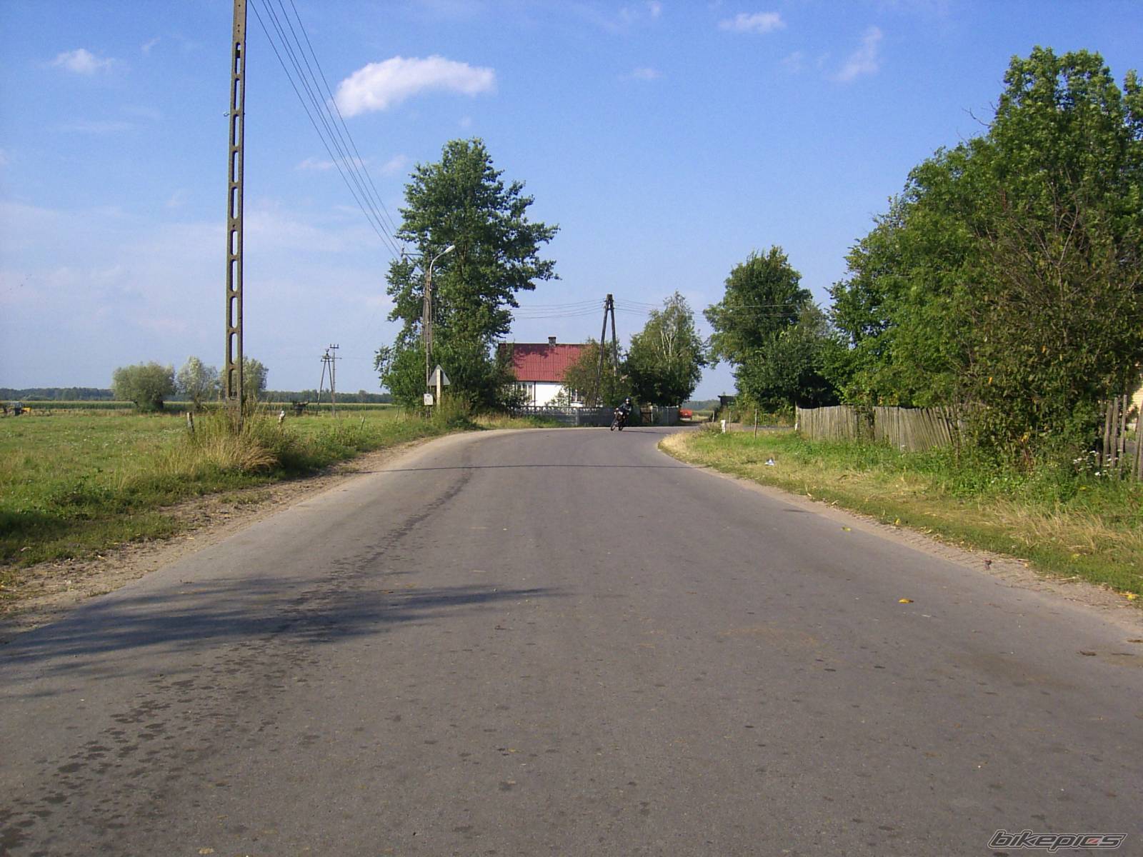 Photo 232247