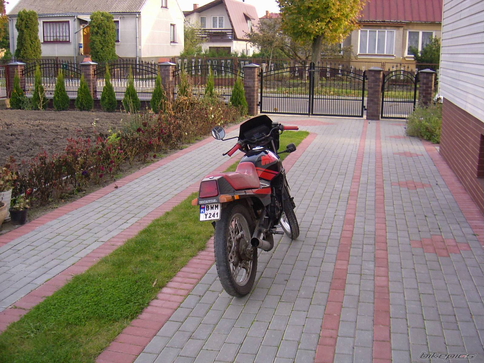Photo 232249