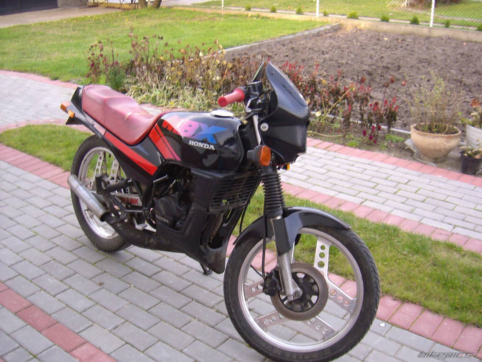Photo 232250