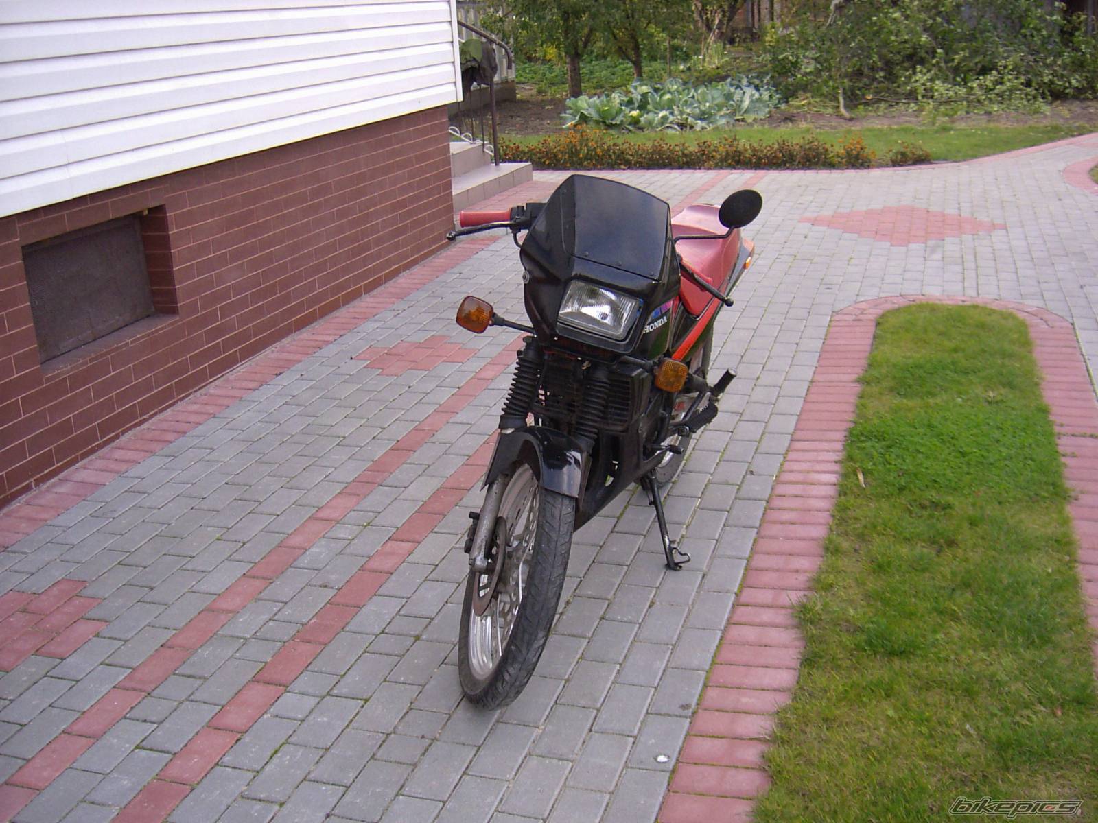 Photo 232251