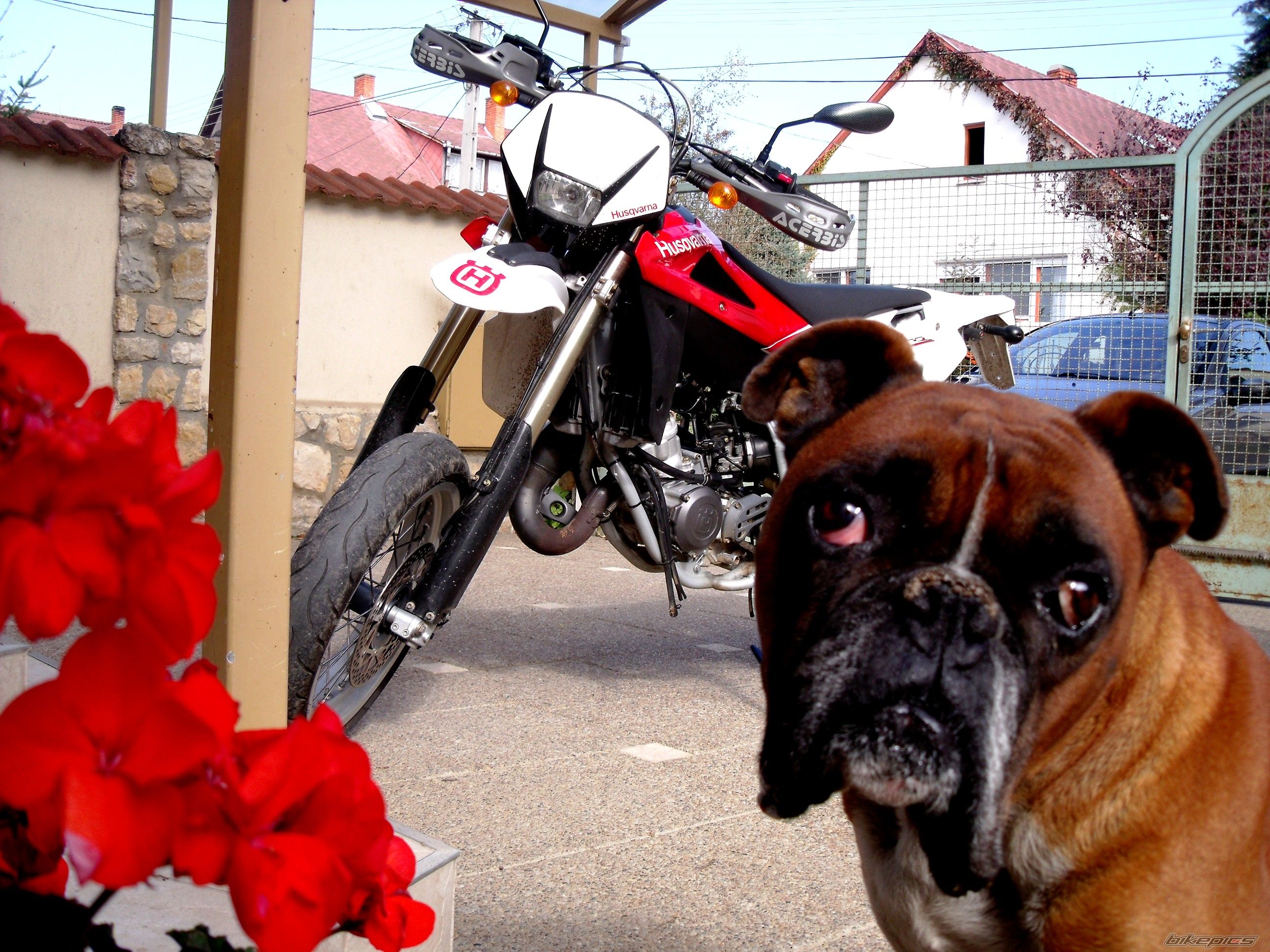 Bike Photo 2322519