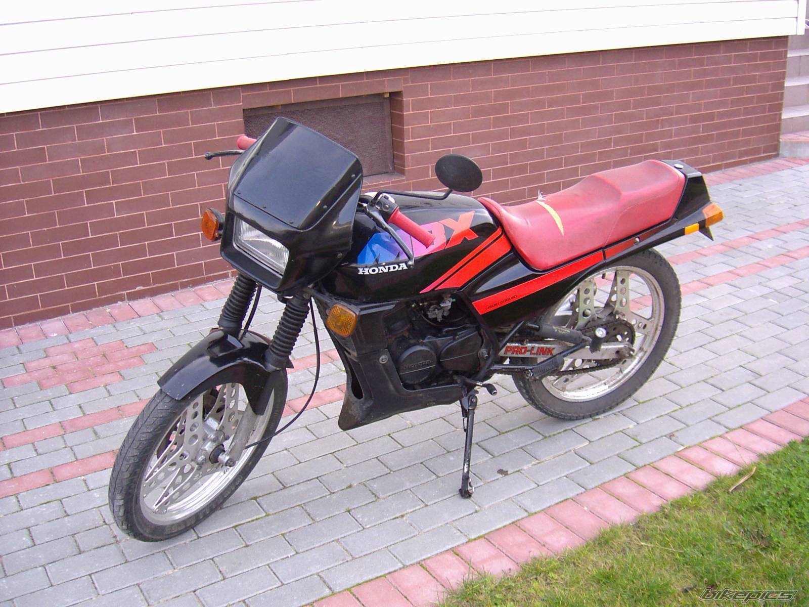 Photo 232253