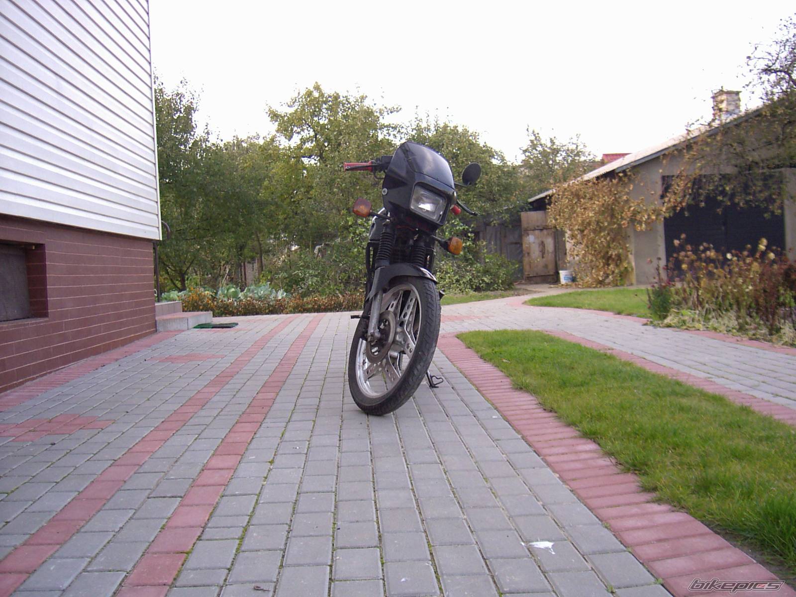 Photo 232257