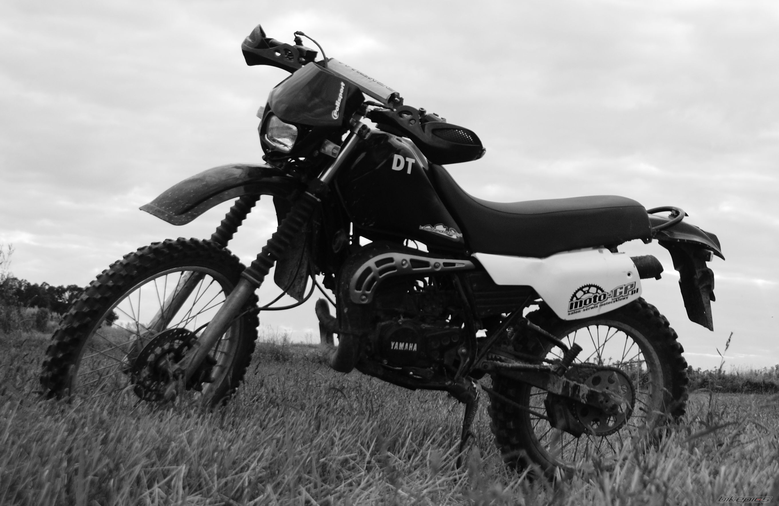 Photo 2322662