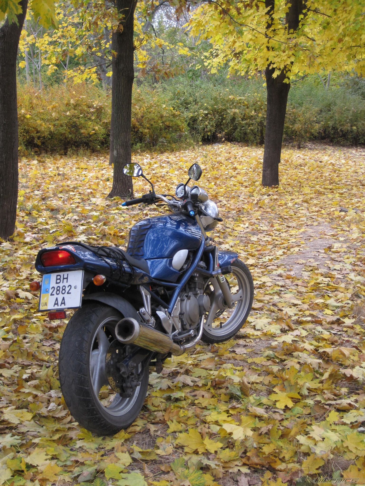 Photo 2322693