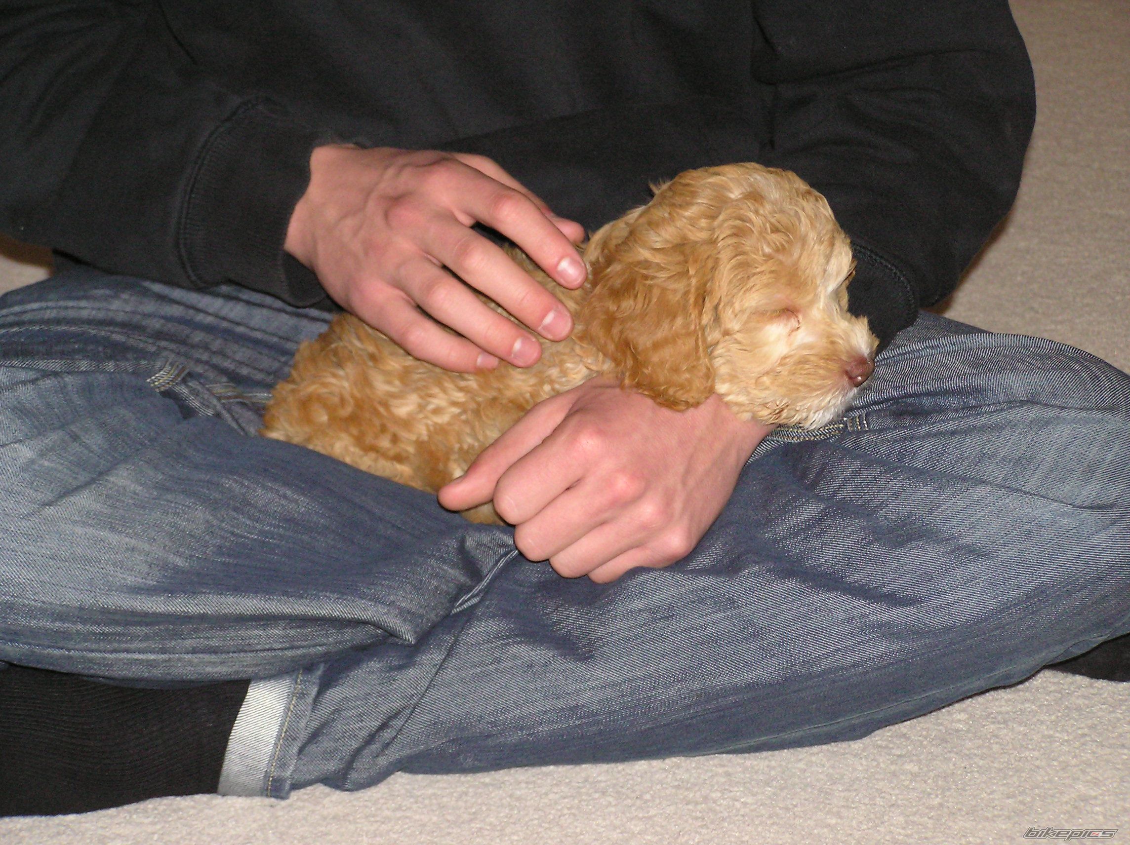Photo 2322775