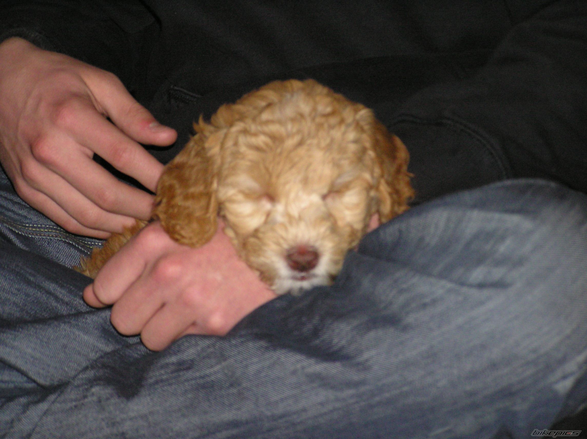Photo 2322776