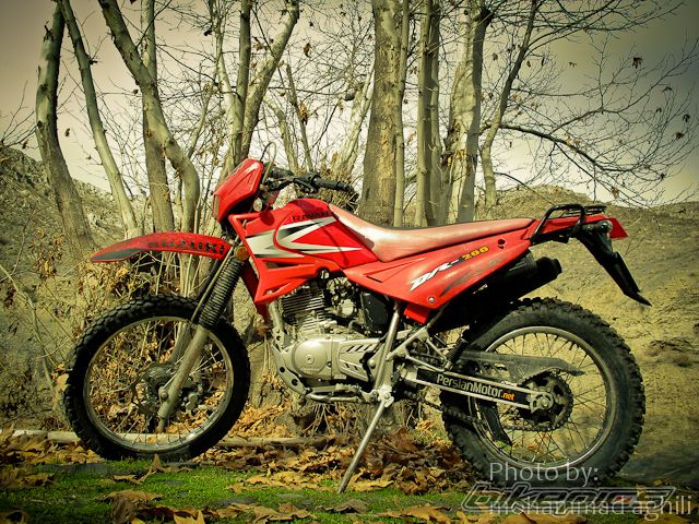 Photo 2322818