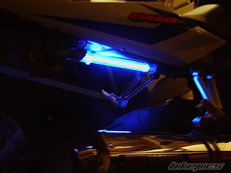 Photo 232286