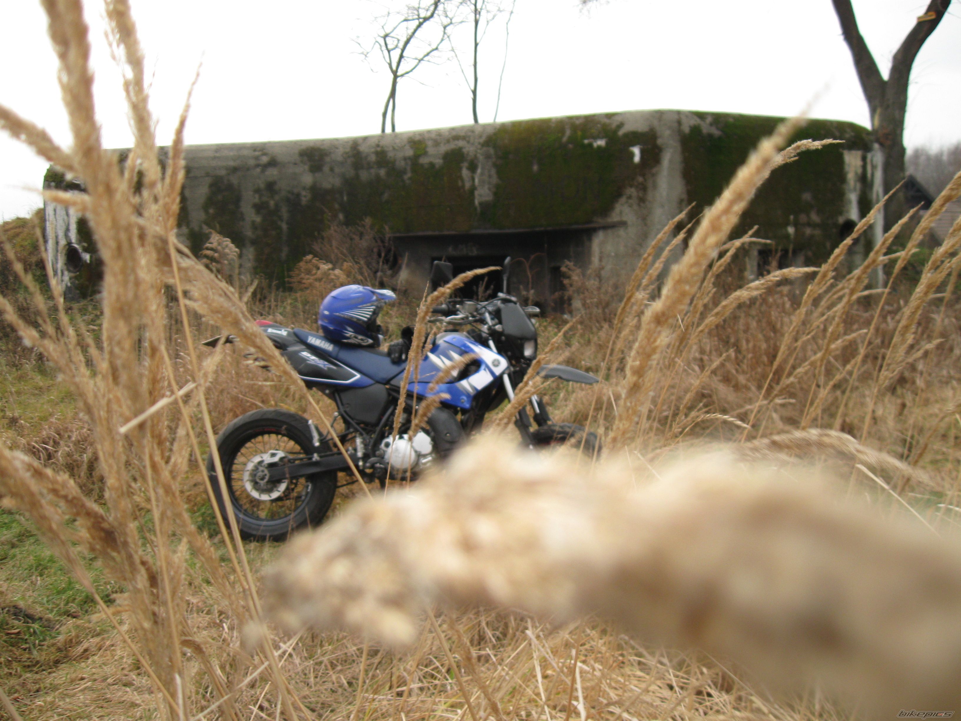 Photo 2322901