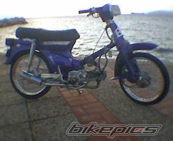 Photo 232291