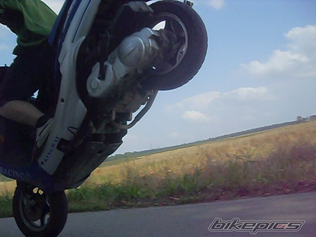 Photo 2322950