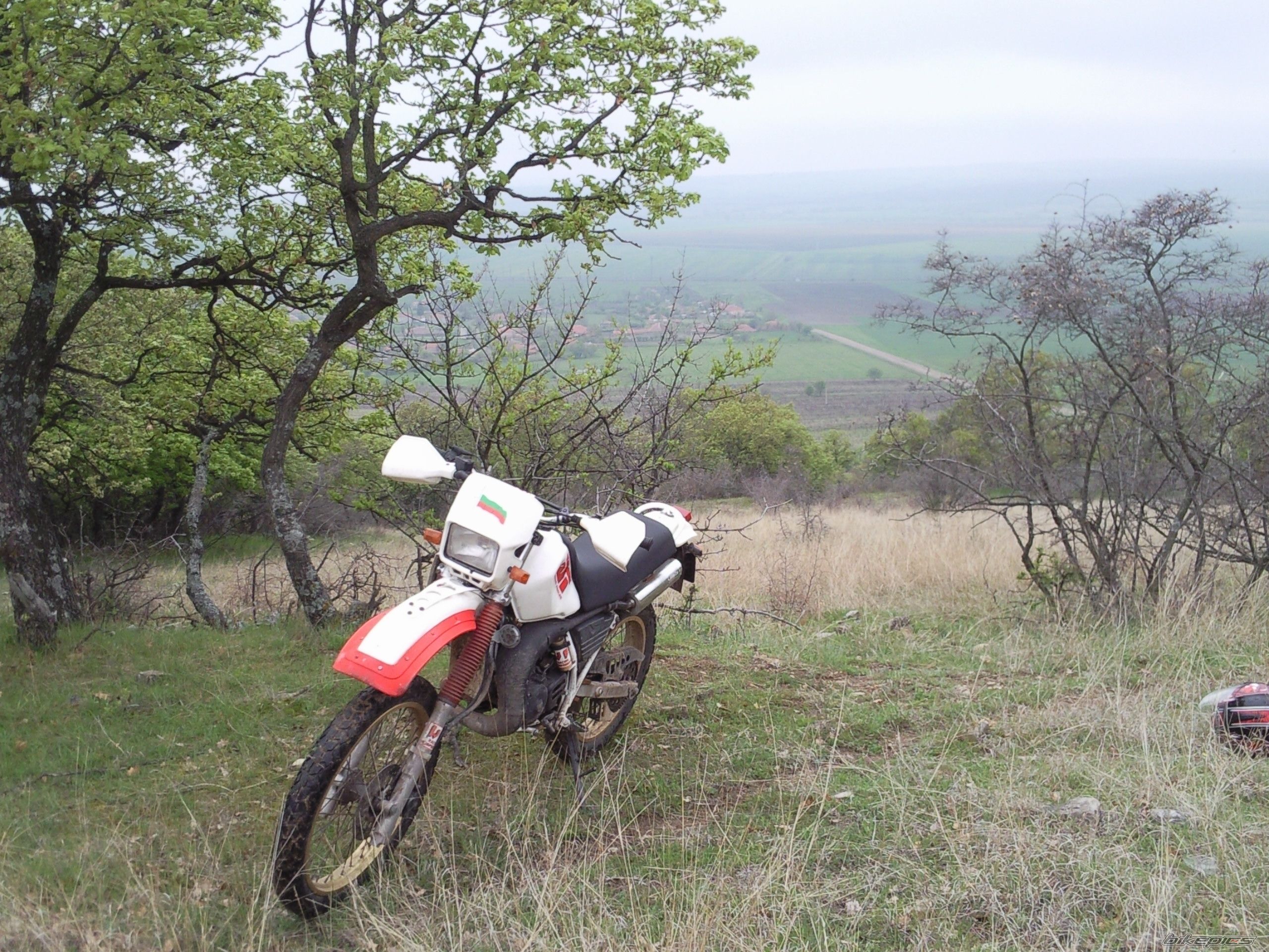 Photo 2323097