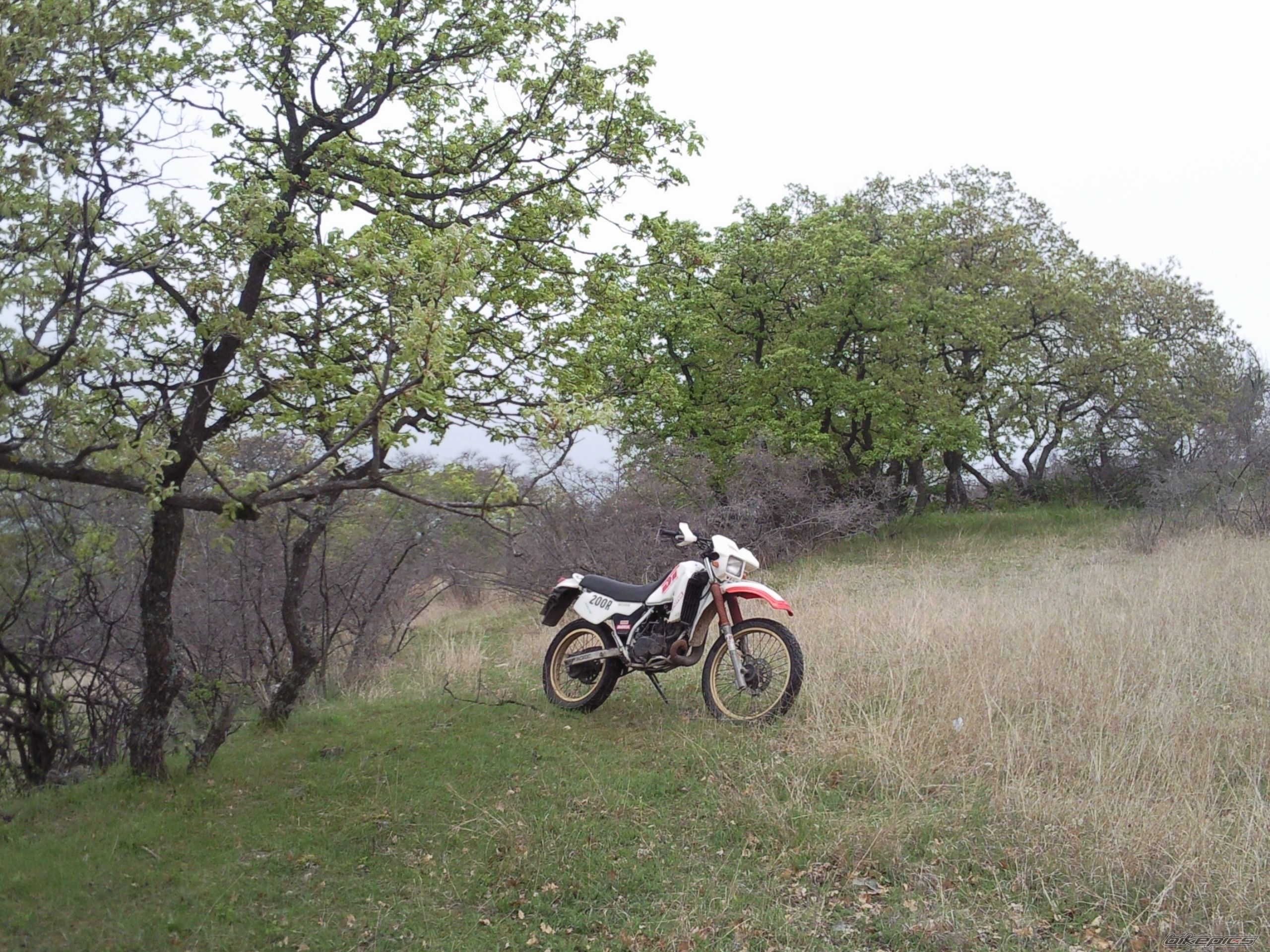 Photo 2323098