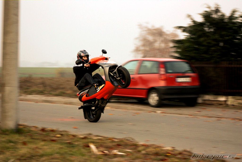 Photo 2323244