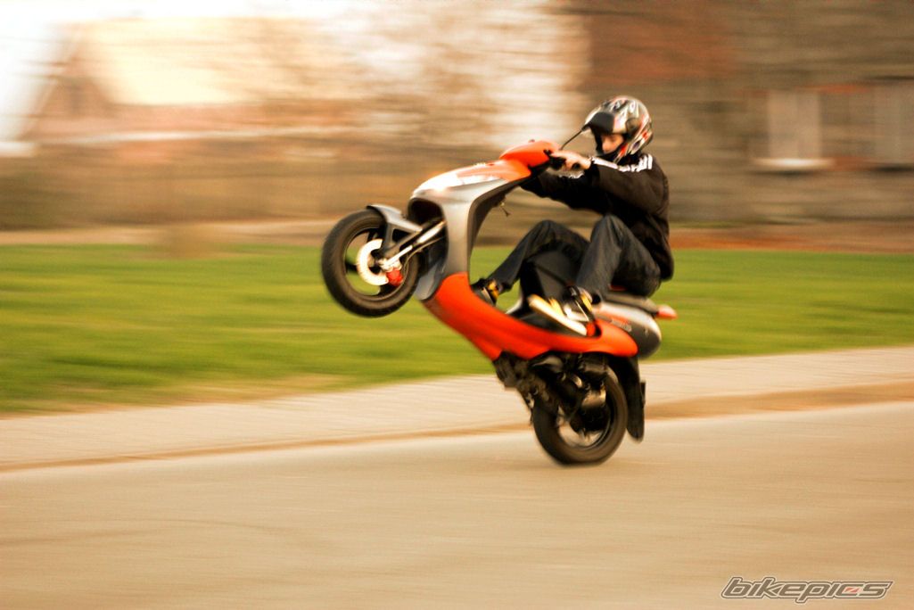 Photo 2323245