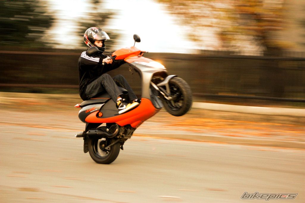 Photo 2323246